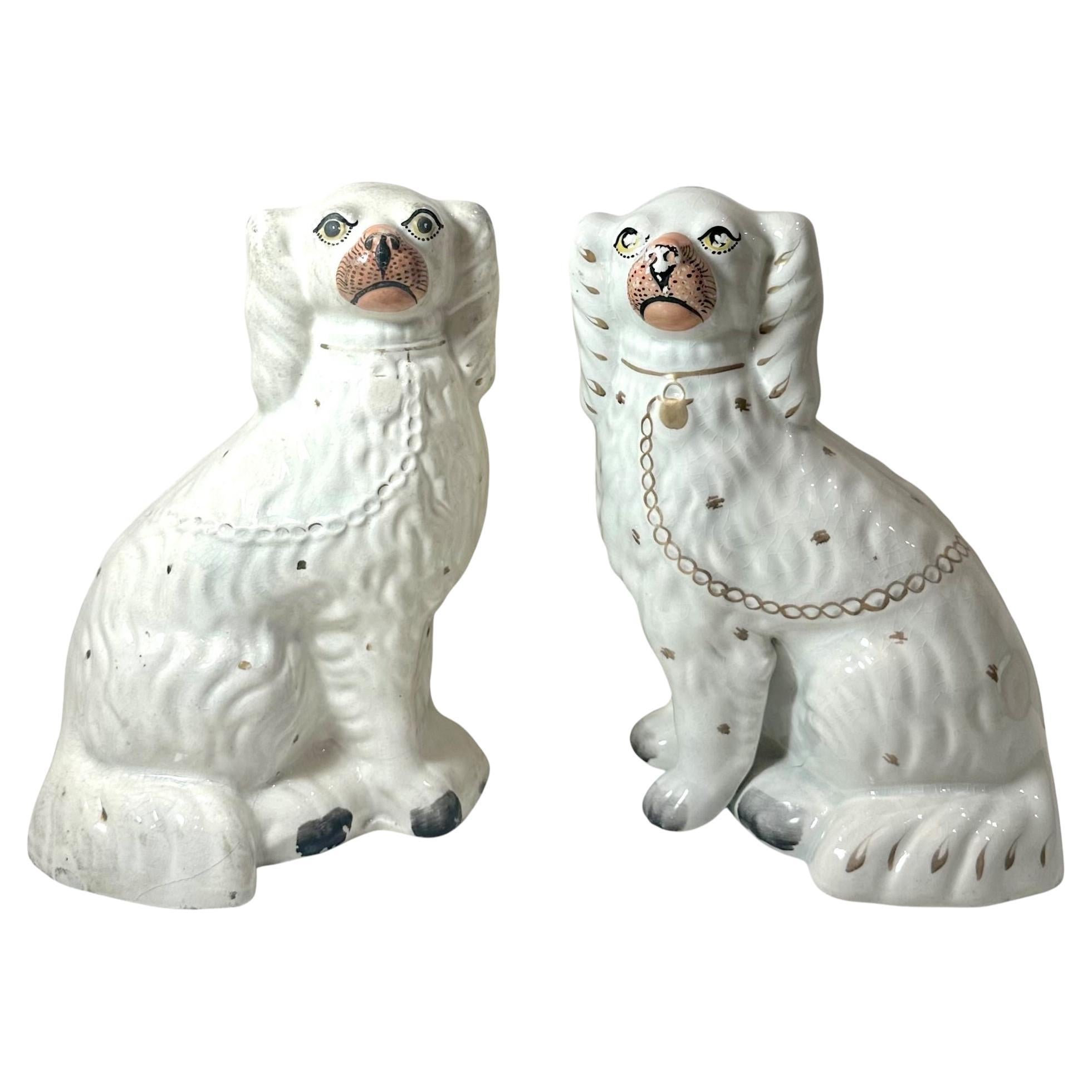 Staffordshire Spaniels
