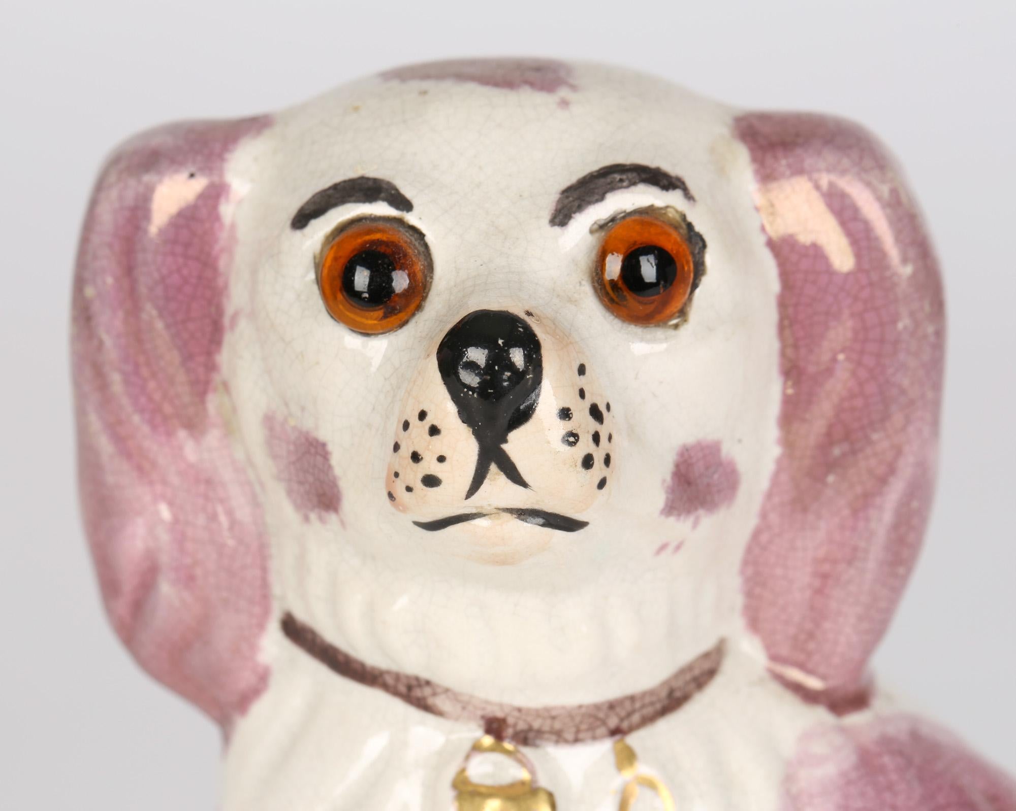 Staffordshire Unusual Pottery Pink Lustre Glass Eyed Dog c.1880 1