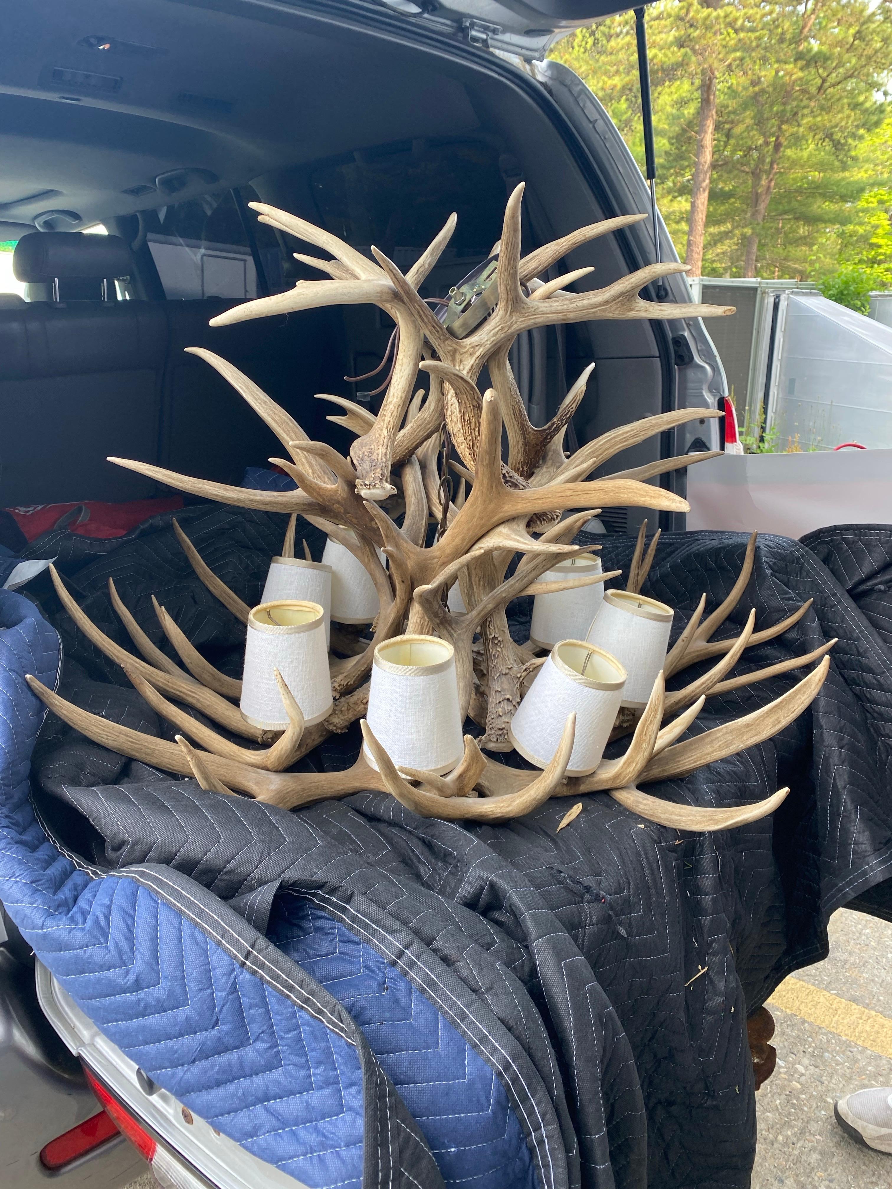 Stag Antler 8 Light Chandelier For Sale 5