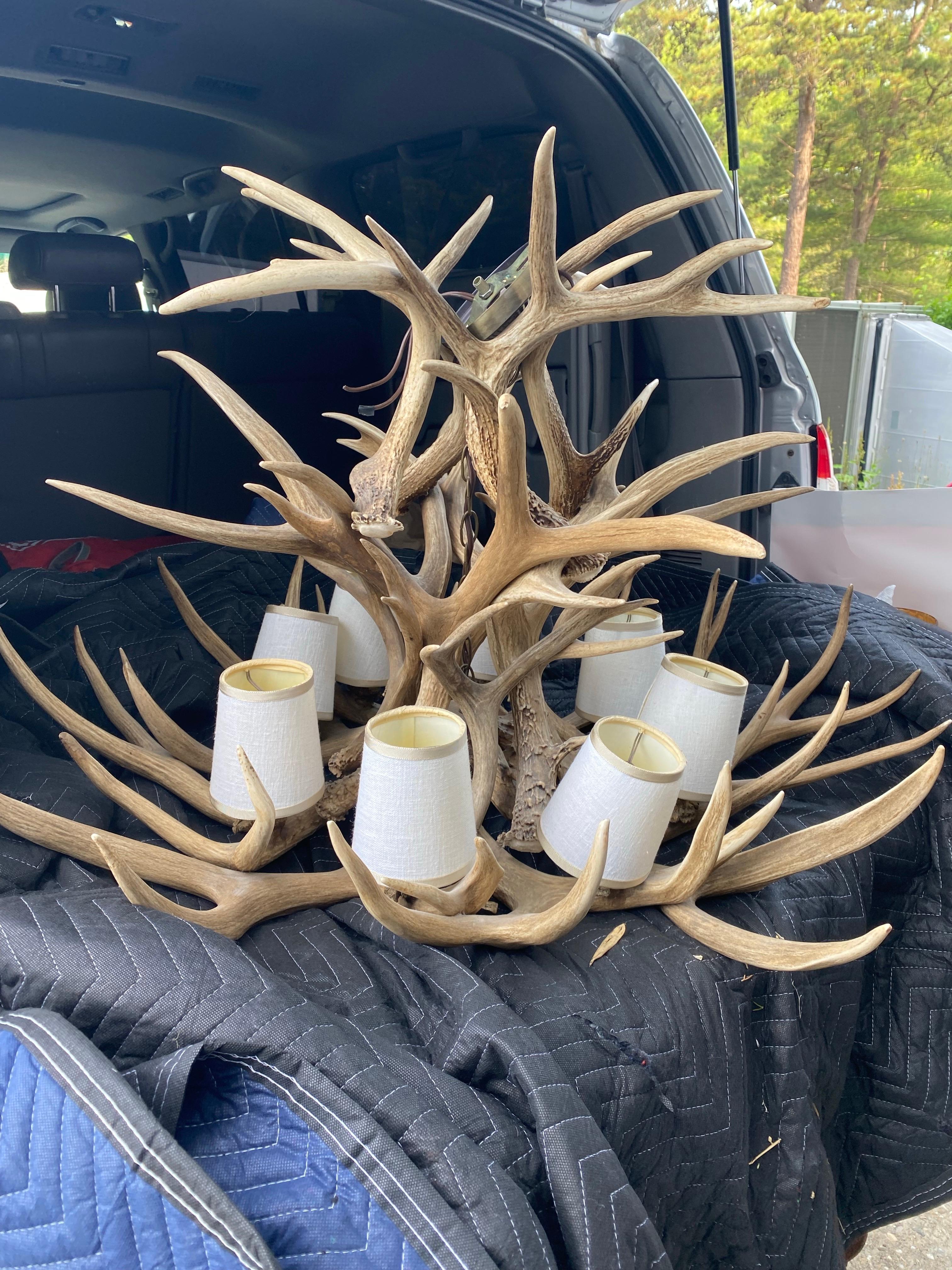 Stag Antler 8 Light Chandelier For Sale 6