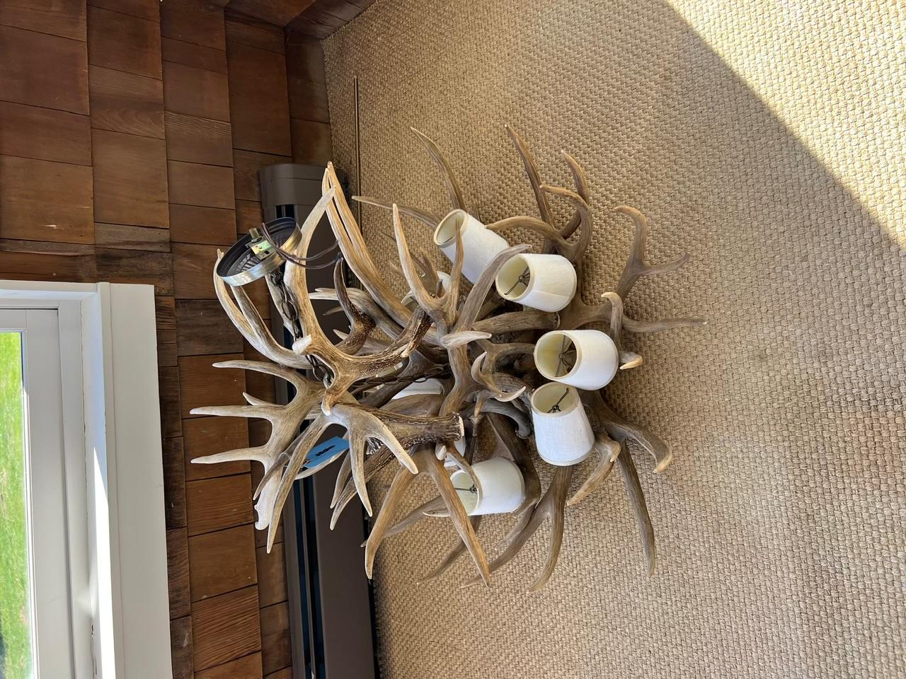 Stag Antler 8 Light Chandelier For Sale 9