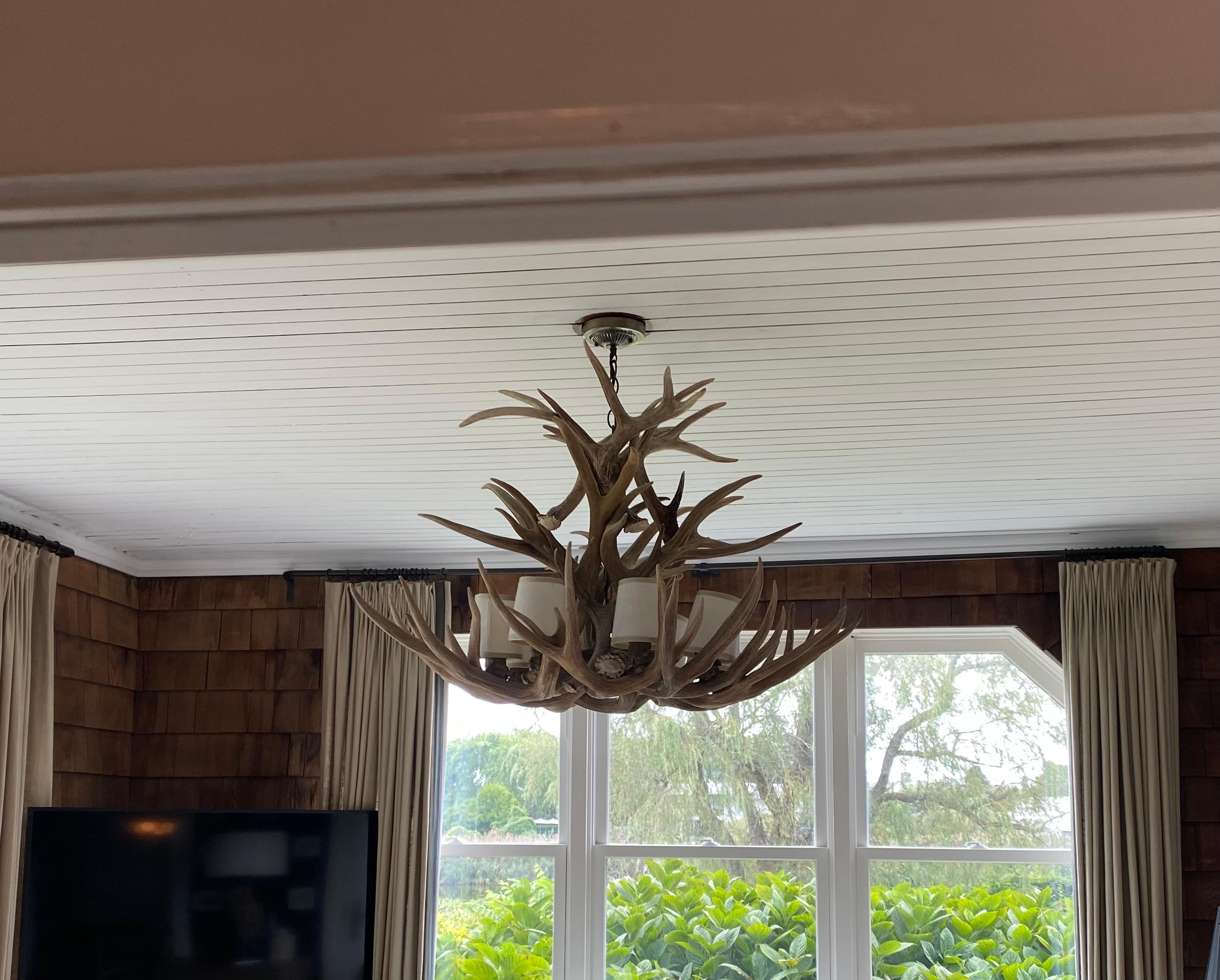 Stag Antler 8 Light Chandelier
An attractive and well proportioned Antler Chandelier with 8 Lights, 20th Century.
Good working condition. Includes 8 Lampshades

40