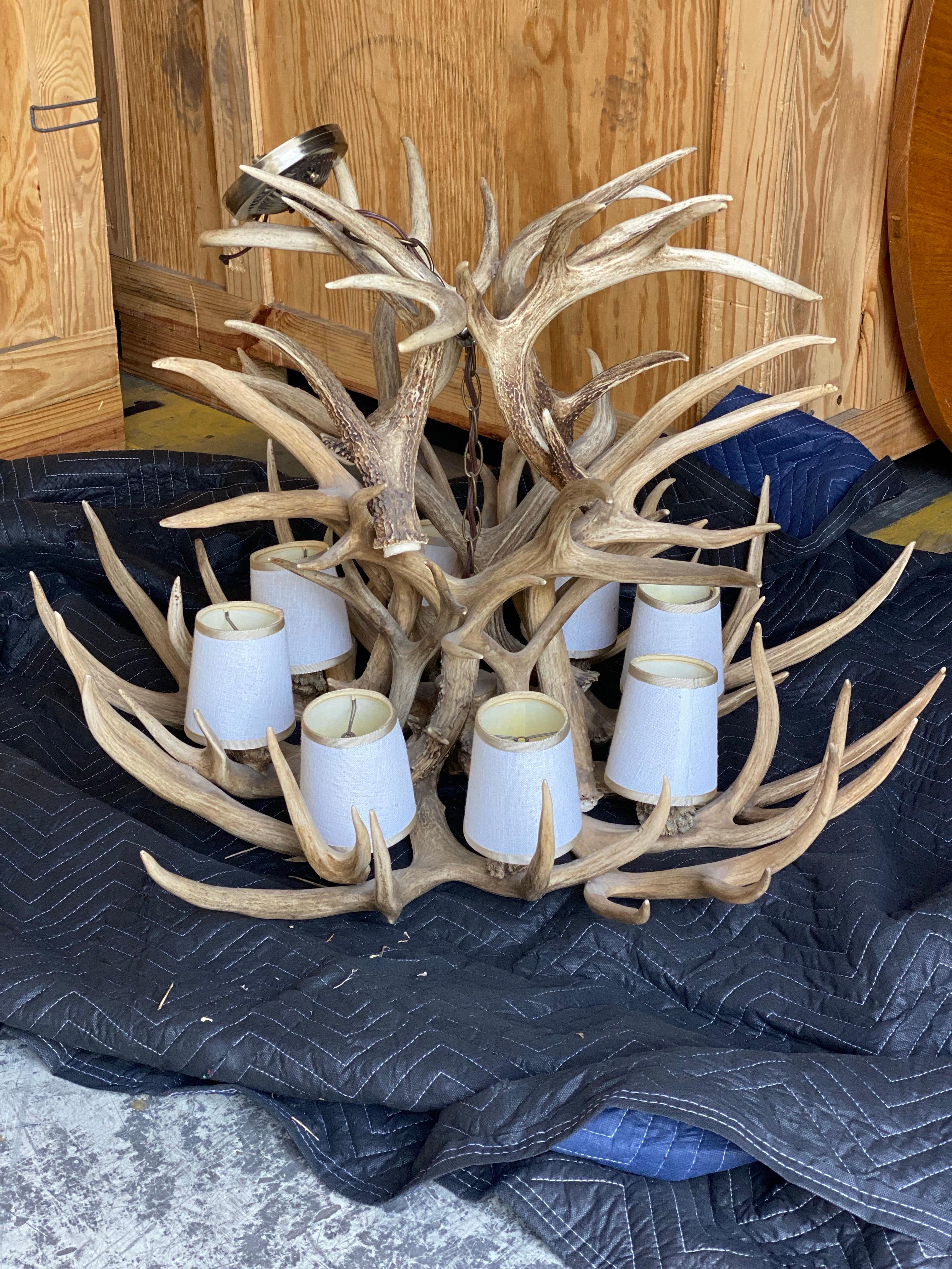 American Stag Antler 8 Light Chandelier For Sale
