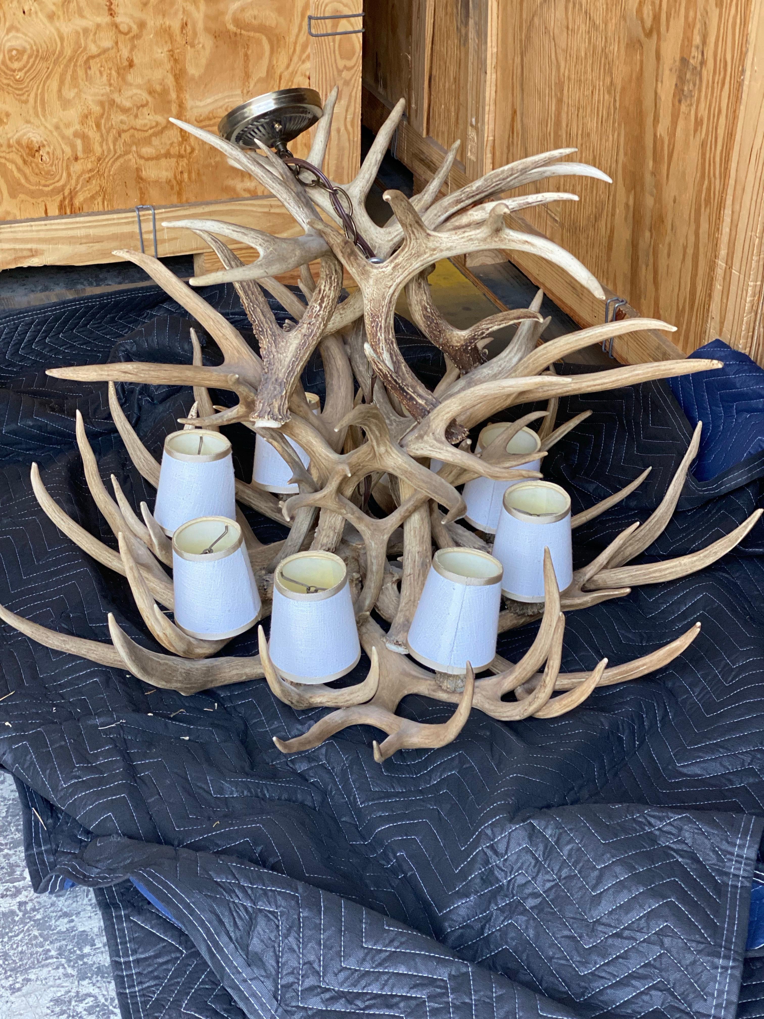Stag Antler 8 Light Chandelier In Good Condition For Sale In Southampton, NY