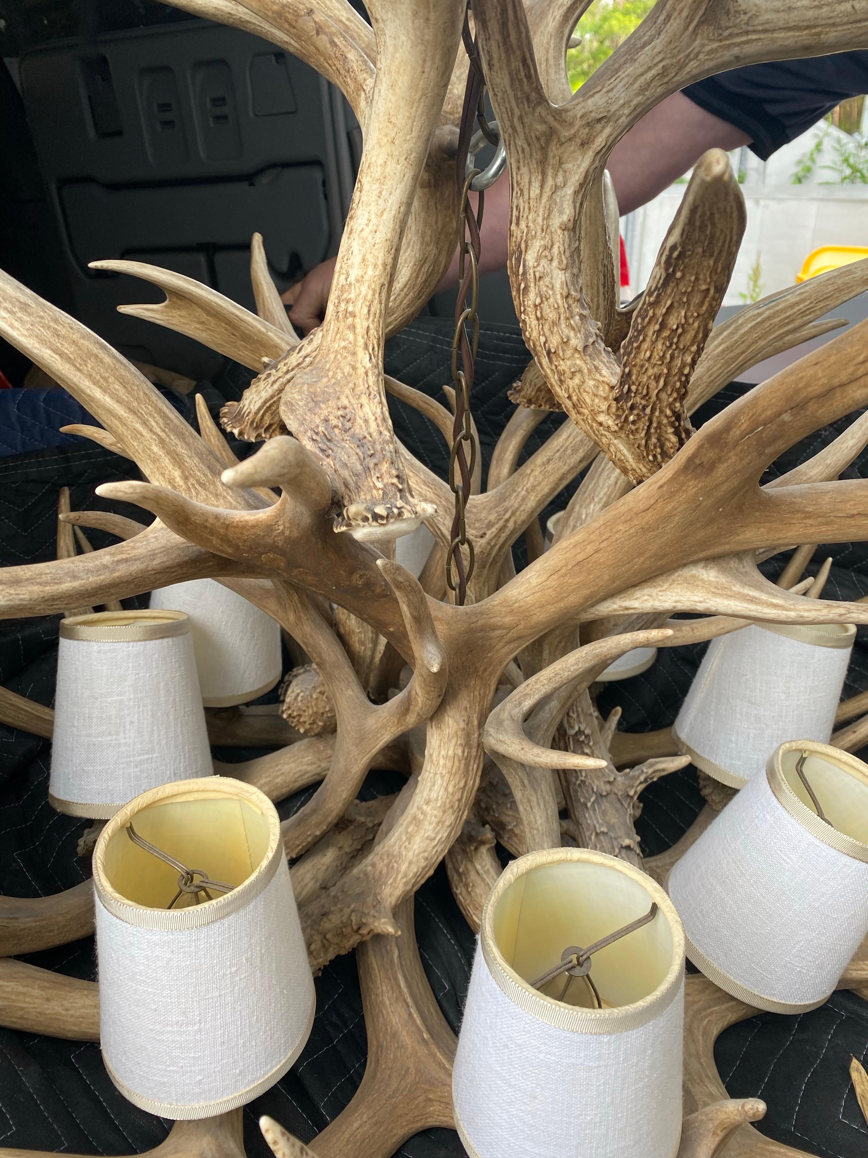 20th Century Stag Antler 8 Light Chandelier For Sale