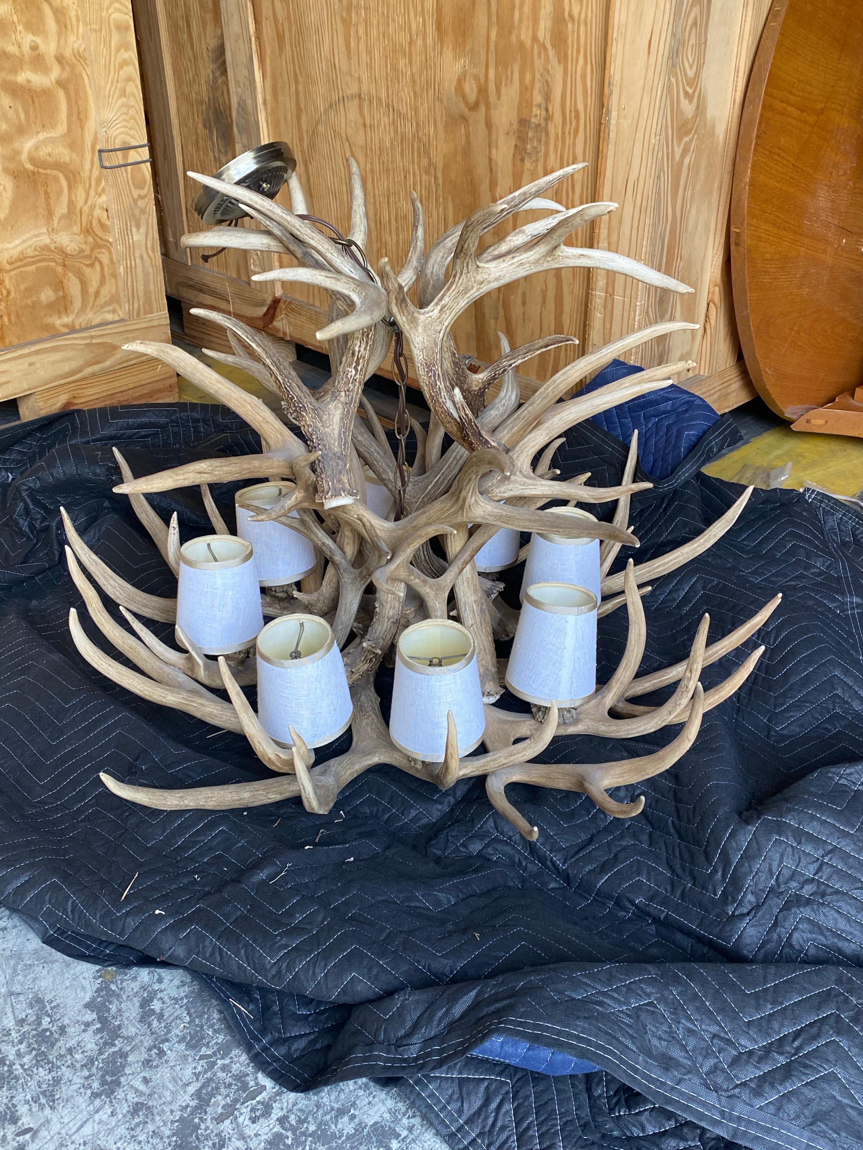 Stag Antler 8 Light Chandelier For Sale 2