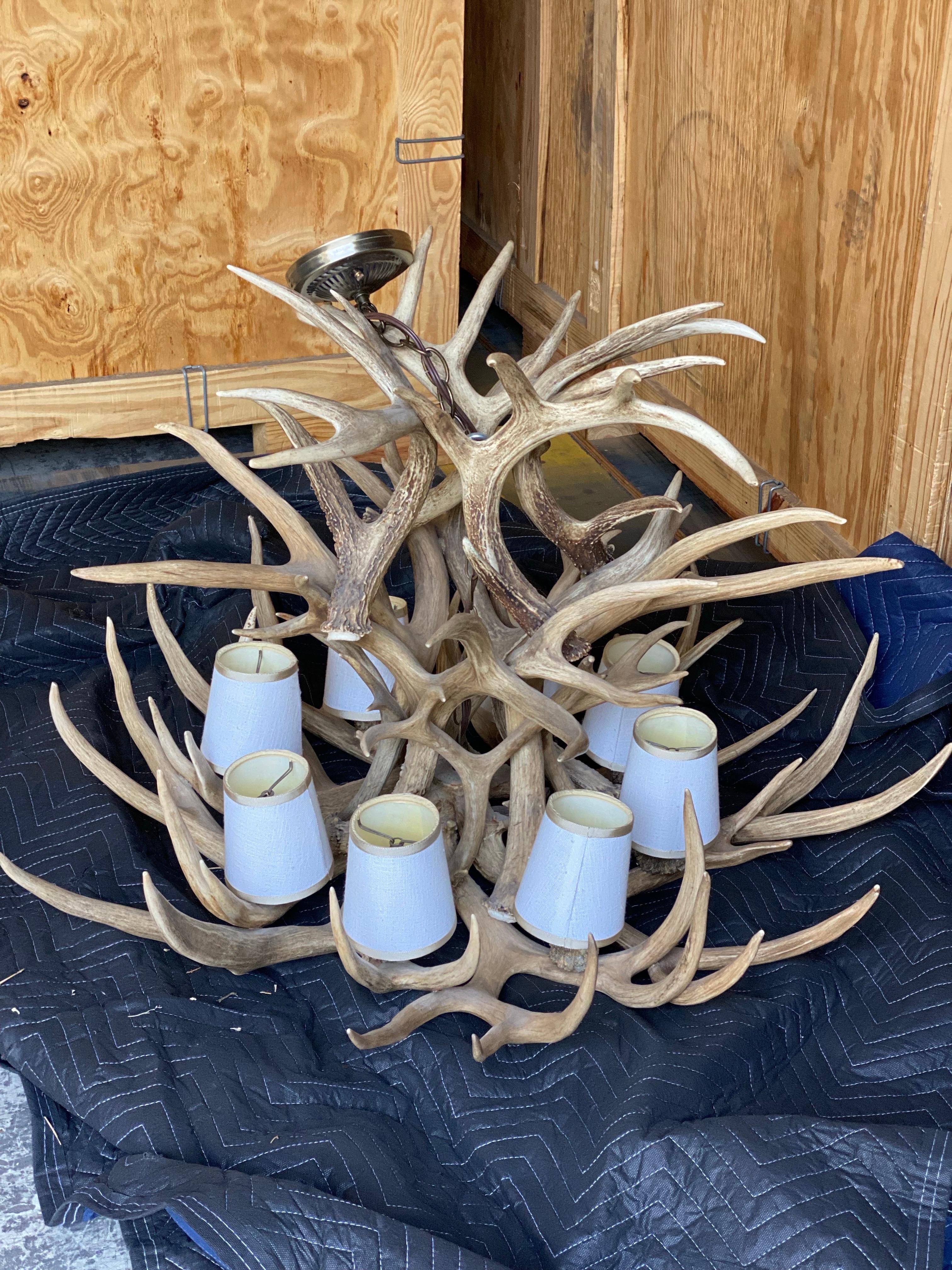 Stag Antler 8 Light Chandelier For Sale 3