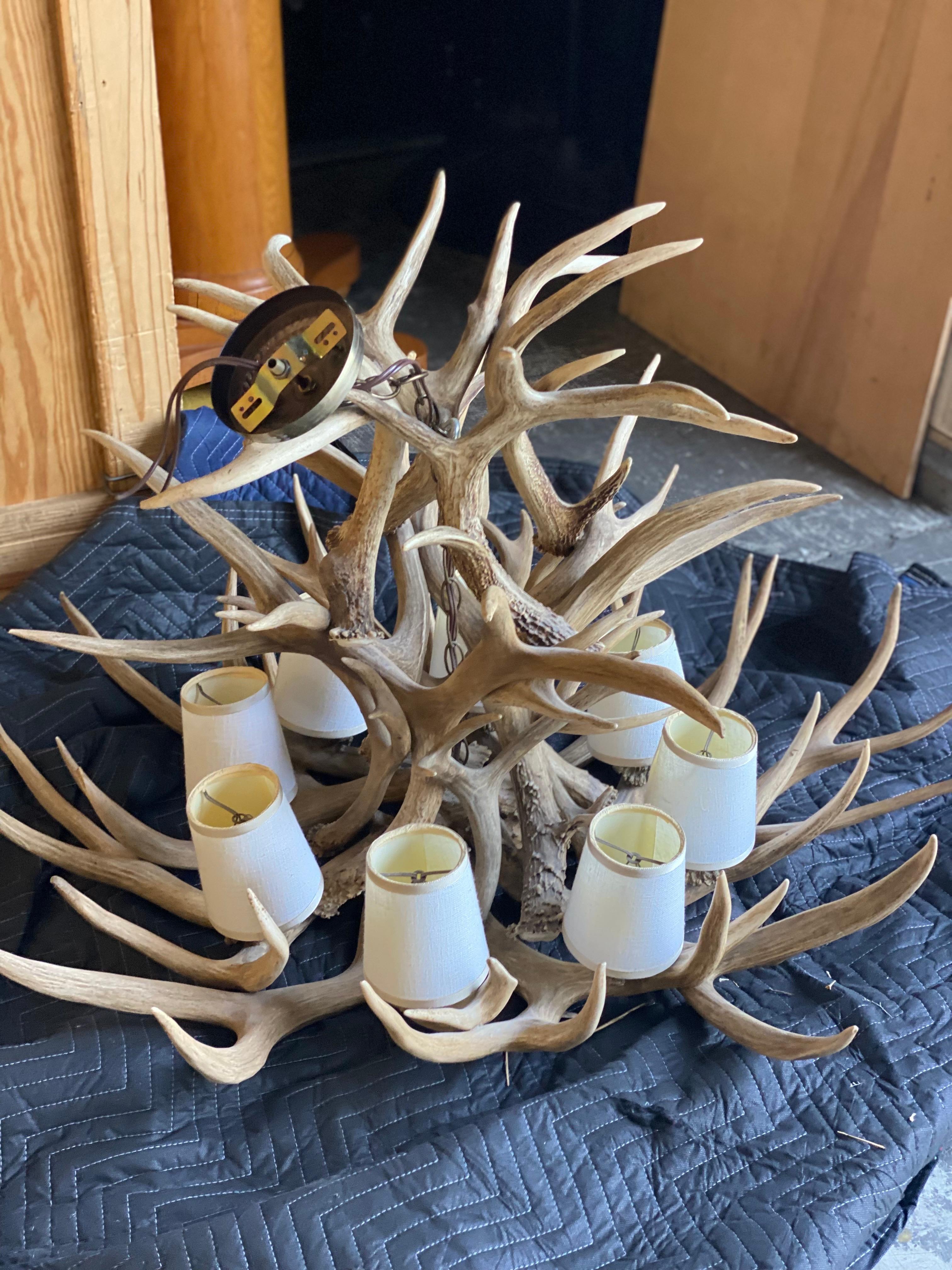 Stag Antler 8 Light Chandelier For Sale 4