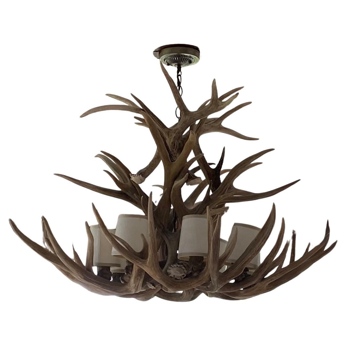 Stag Antler 8 Light Chandelier For Sale