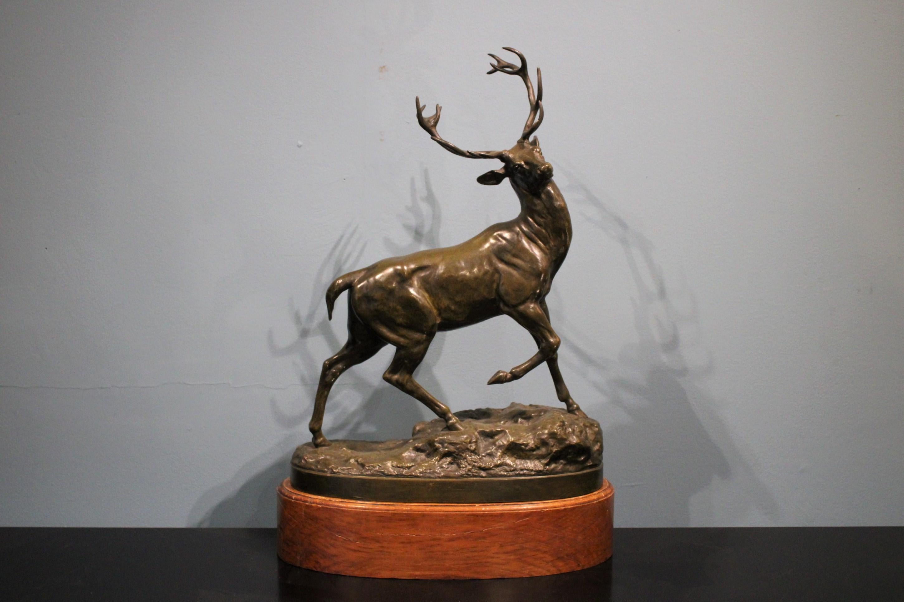 Stag bronze by Vidal Louis (French sculptor, 1831-1892)
Bronze with brown patina, signed.