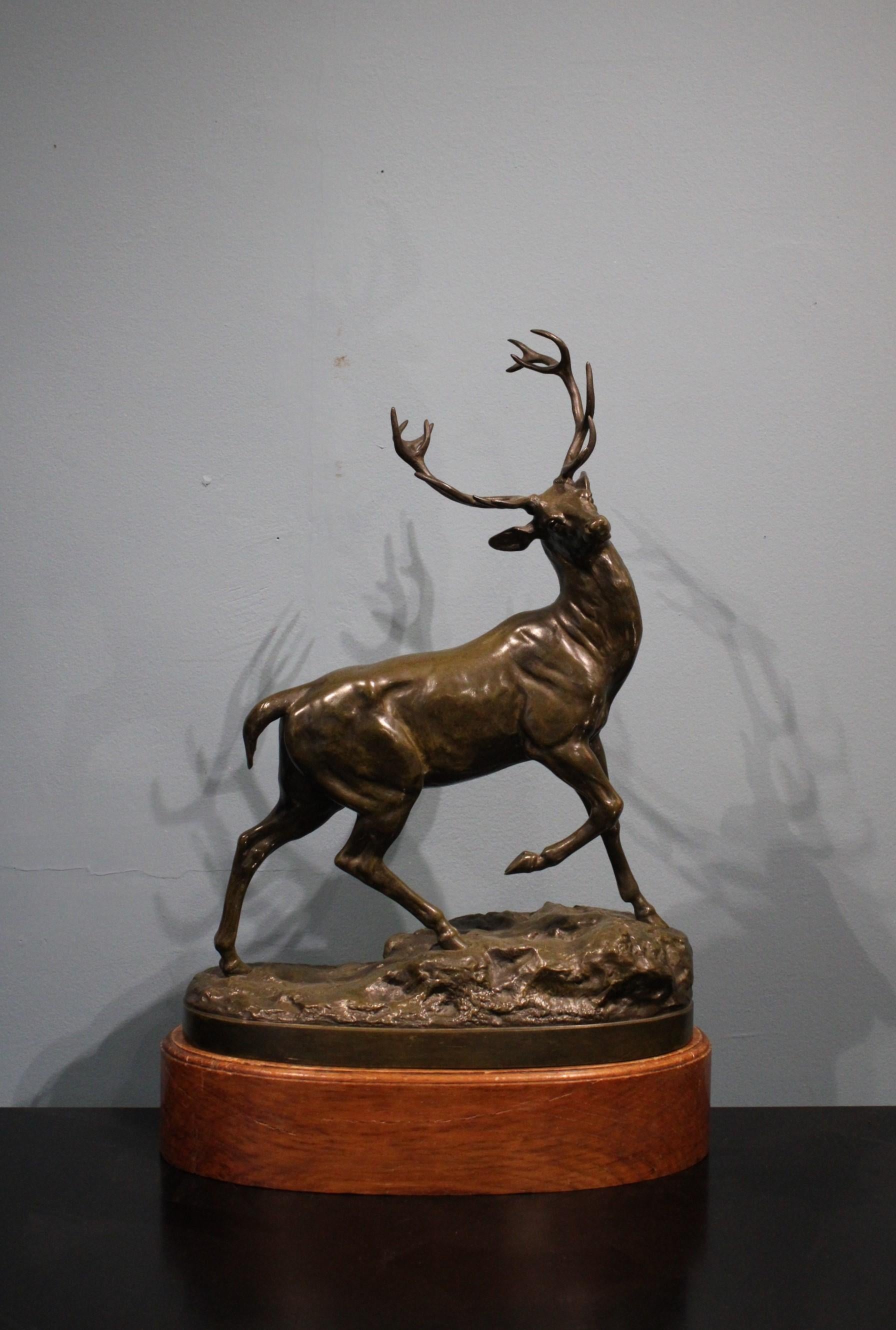French Stag Bronze by Vidal Louis