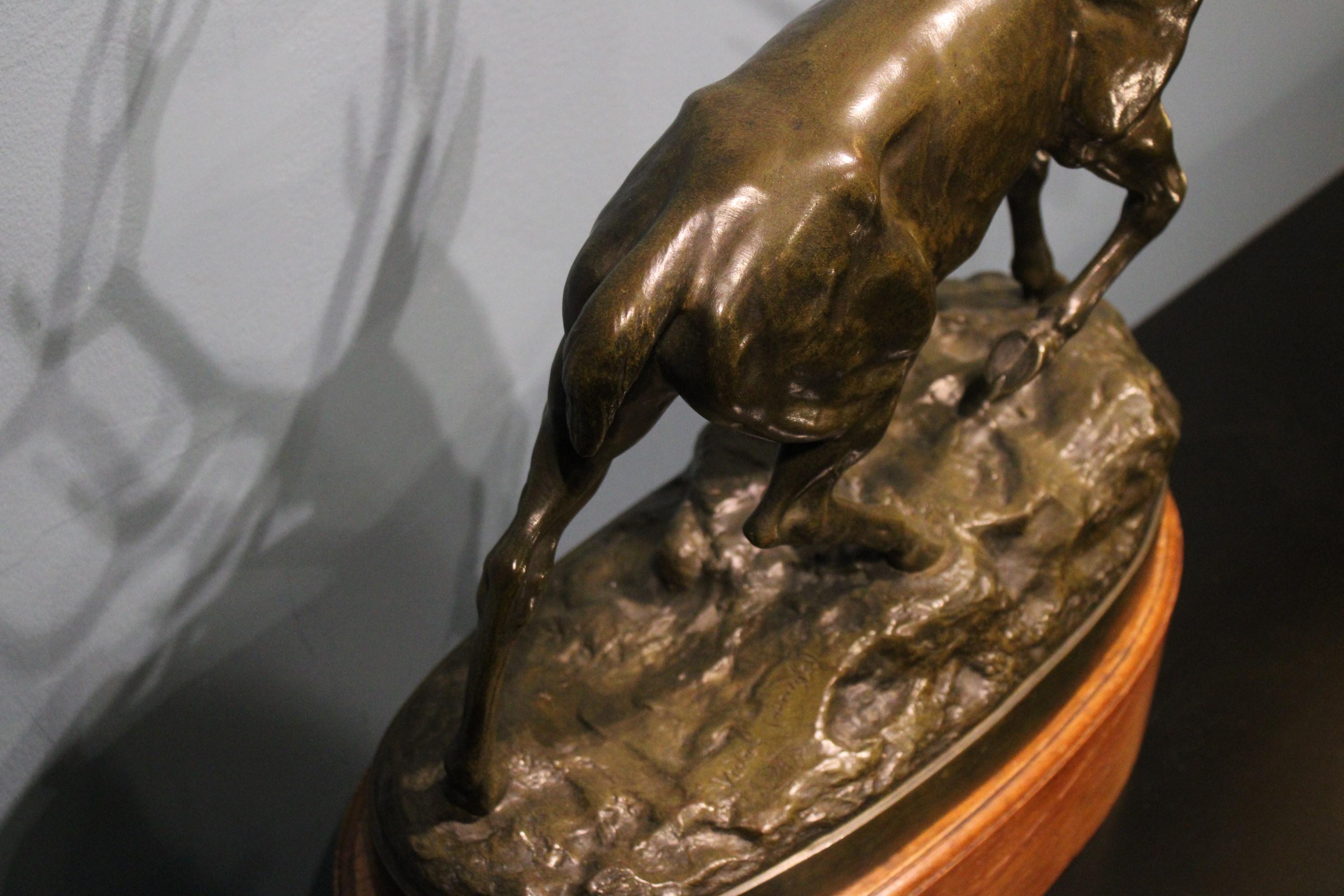 Stag Bronze by Vidal Louis 2