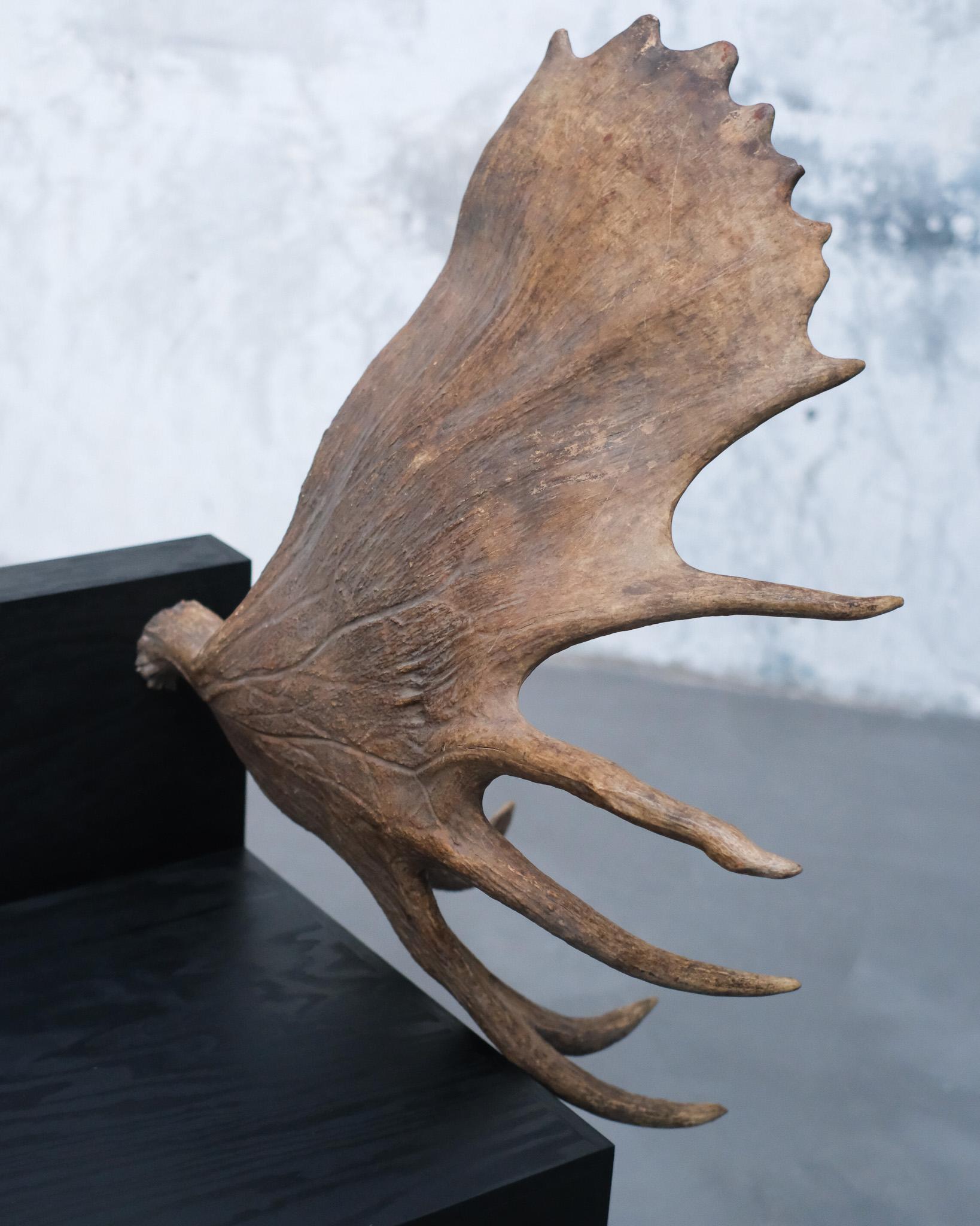 Moderno Sedia Stag di Rick Owens in vendita