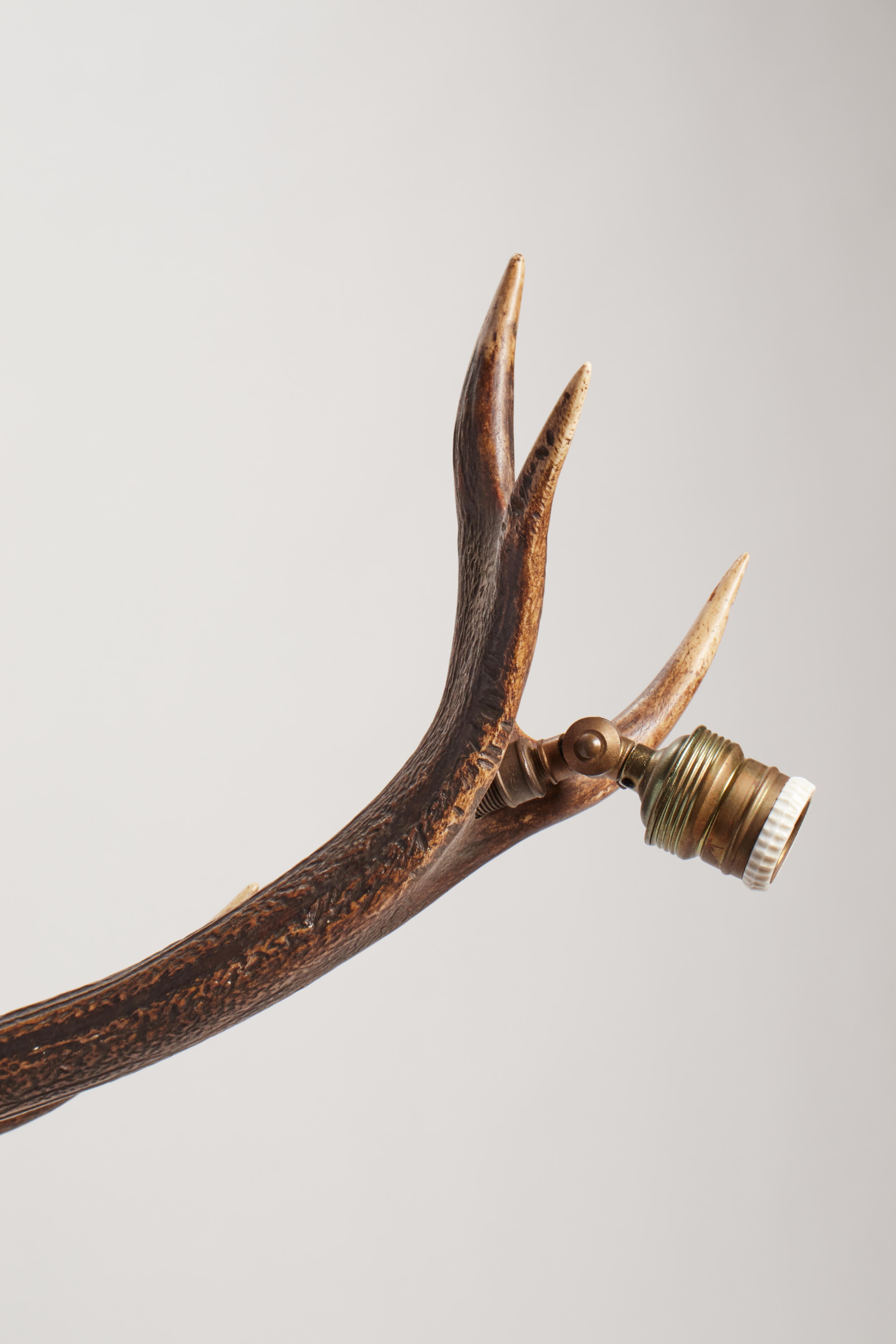 Austrian Stag Horns and Craved Wood Chandelier, Austria, 1880 For Sale