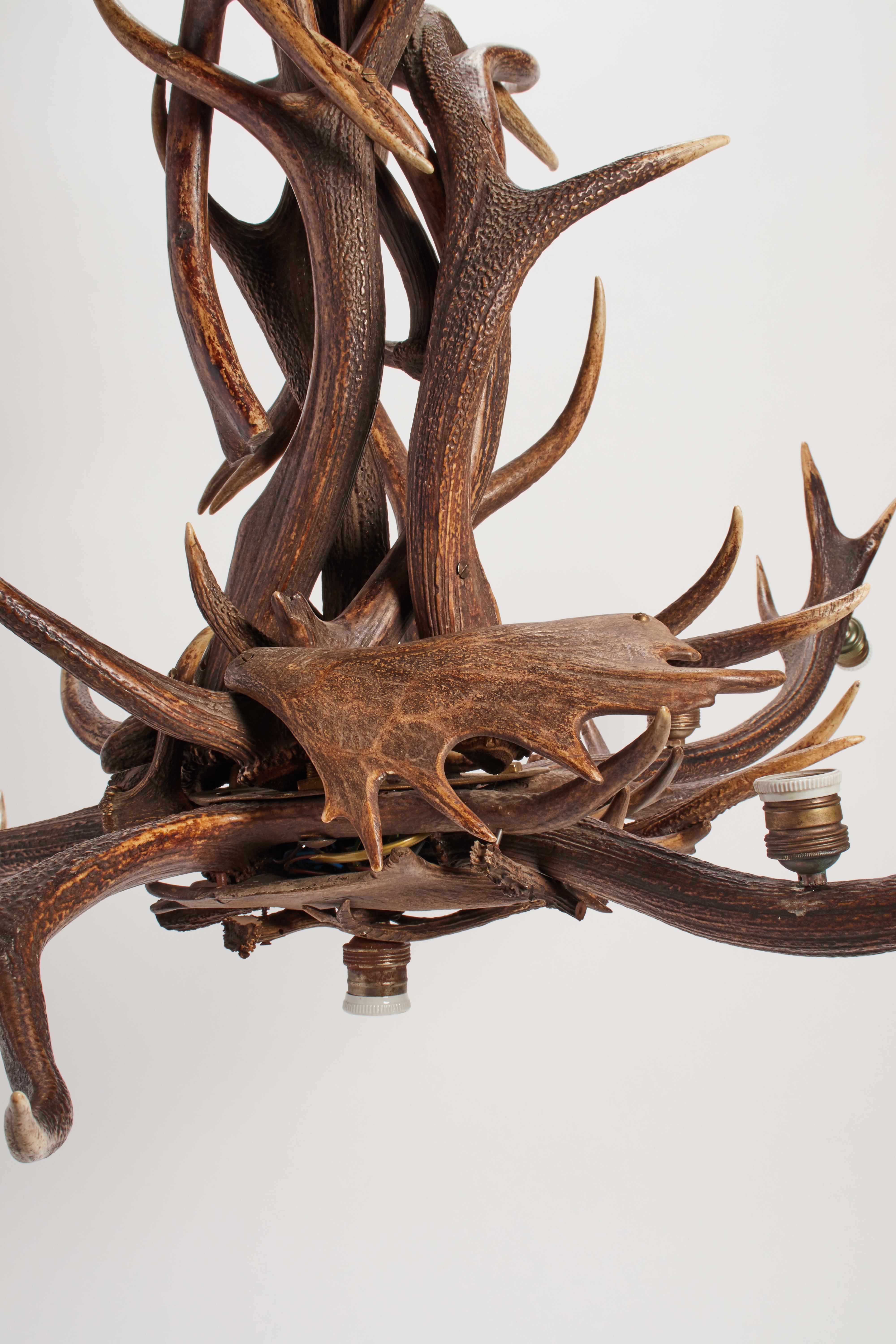 Stag Horns and Craved Wood Chandelier, Austria, 1880 In Excellent Condition For Sale In Milan, IT