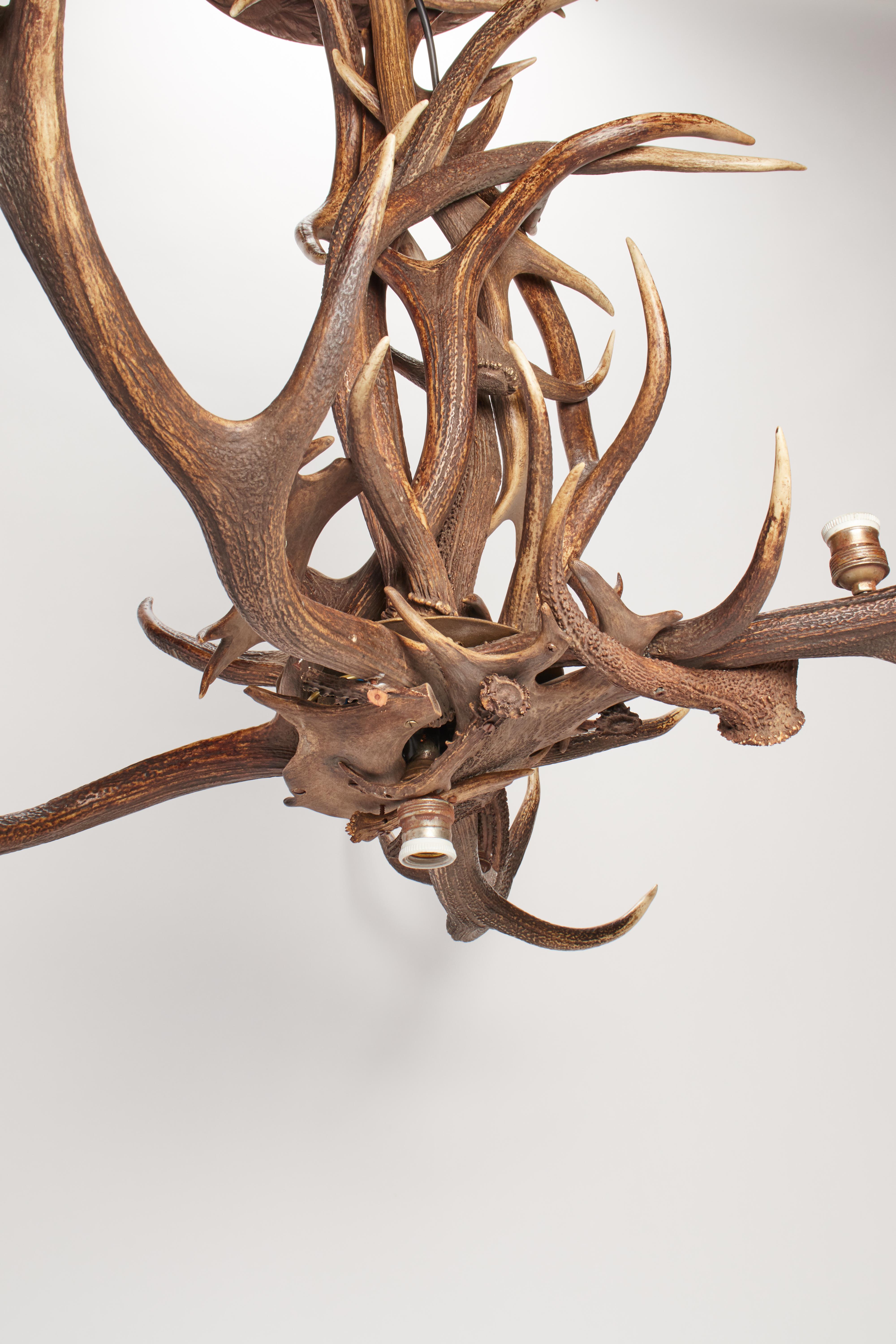 19th Century Stag Horns and Craved Wood Chandelier, Austria, 1880 For Sale