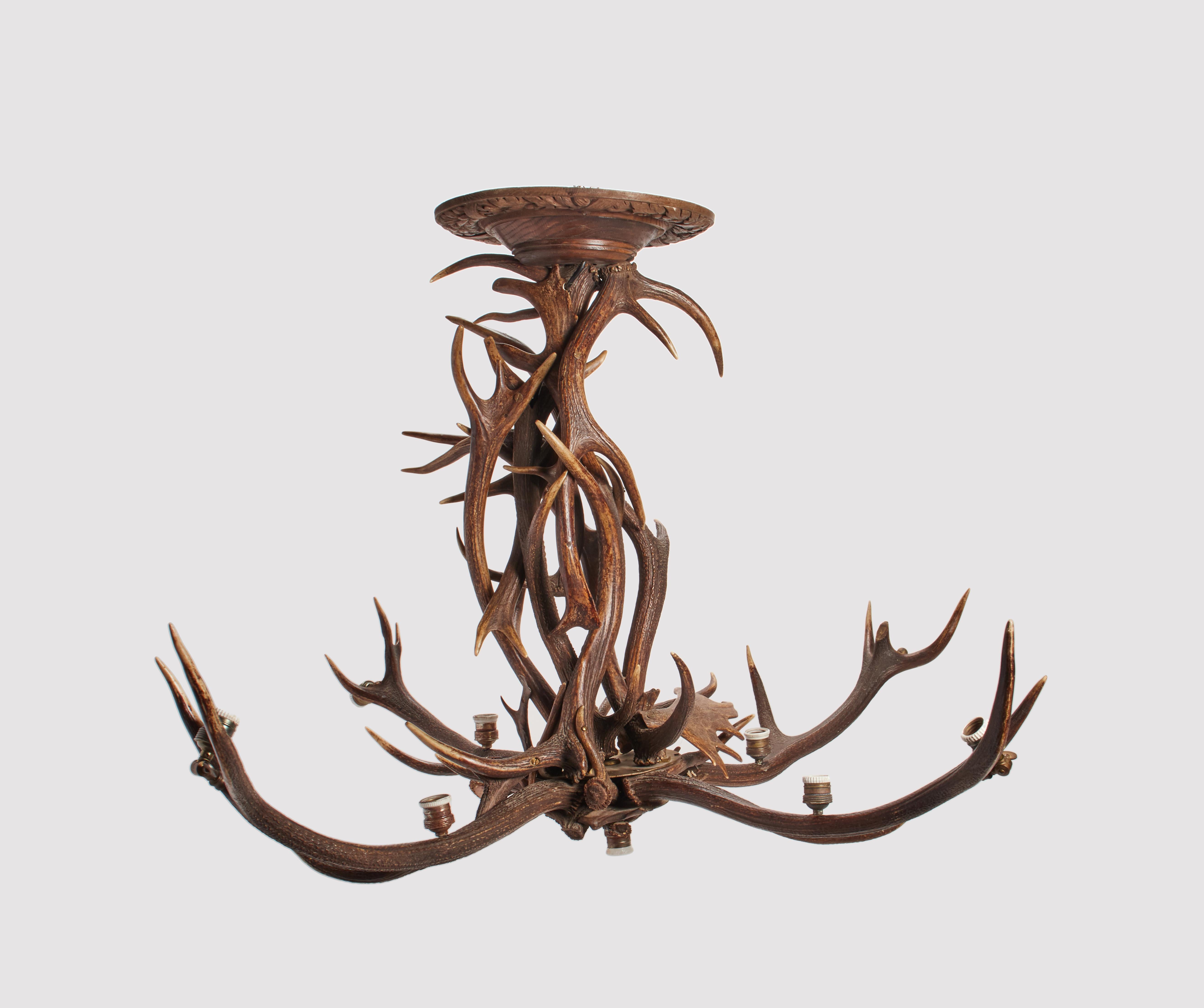 Brass Stag Horns and Craved Wood Chandelier, Austria, 1880 For Sale