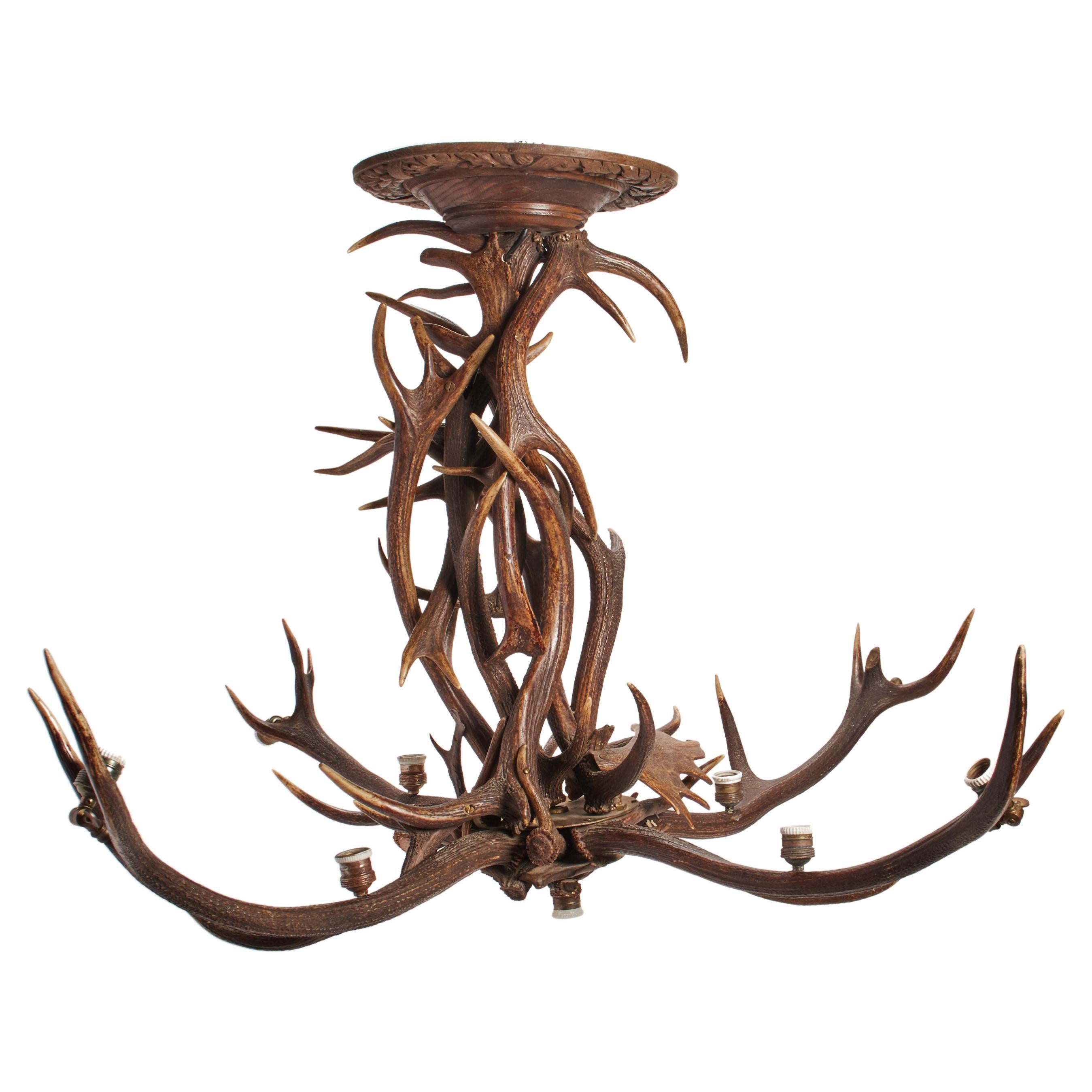 Stag Horns and Craved Wood Chandelier, Austria, 1880 For Sale