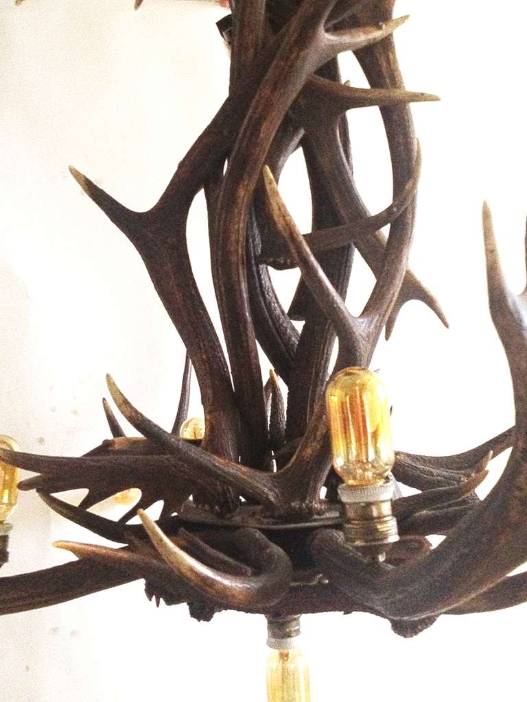 Stag Horns Chandelier In Excellent Condition In Milan, IT