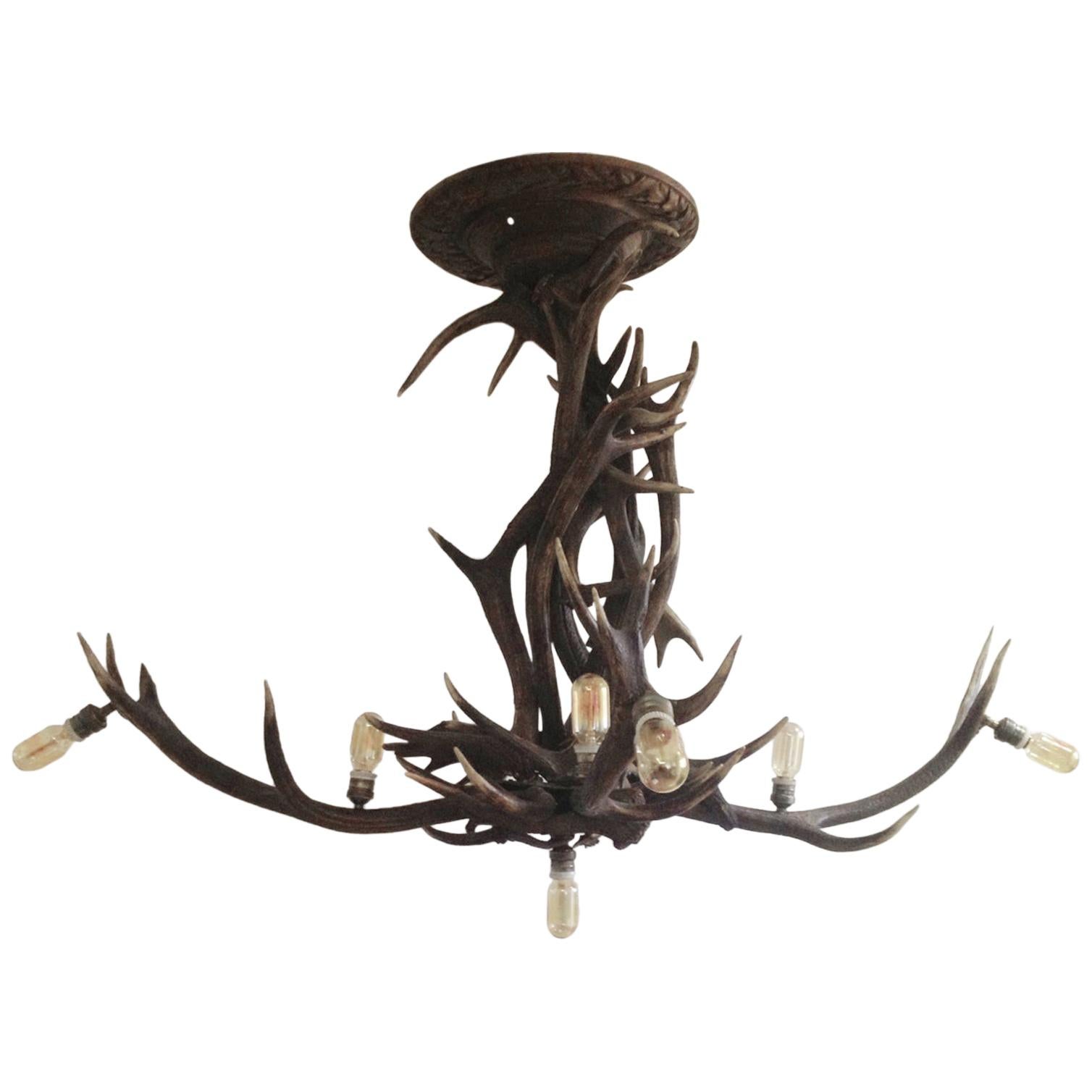 Stag Horns Chandelier