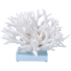 Staghorn Coral Sculpture on Lucite