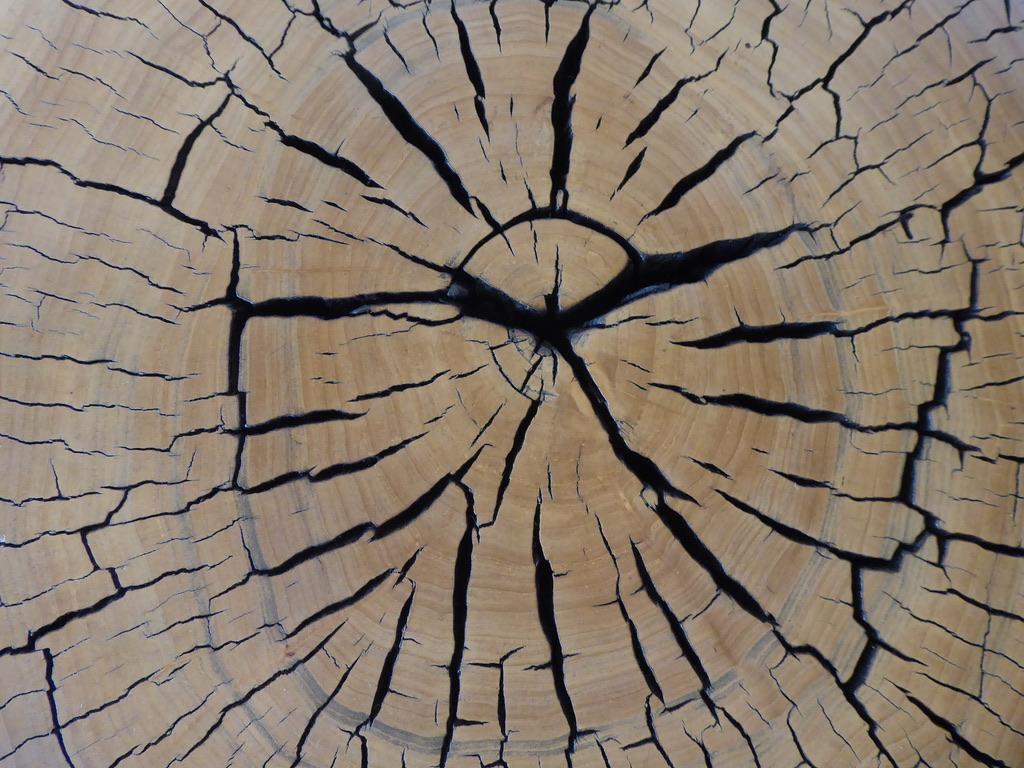 Stained Solid Cottonwood Table by Contemporary American Artist Daniel Pollock 3