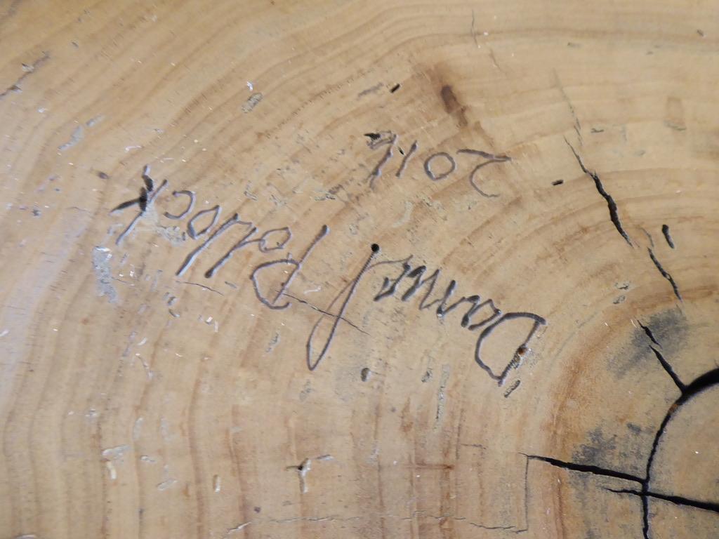 Stained Solid Cottonwood Table by Contemporary American Artist Daniel Pollock 4
