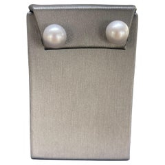 Stainless Steel 11.3 MM Freshwater Grey Pearl Stud Earrings
