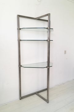 Stainless Steel and Glass Wall Shelf, Bookcase by Peter Ghyzy.  FINAL SALE