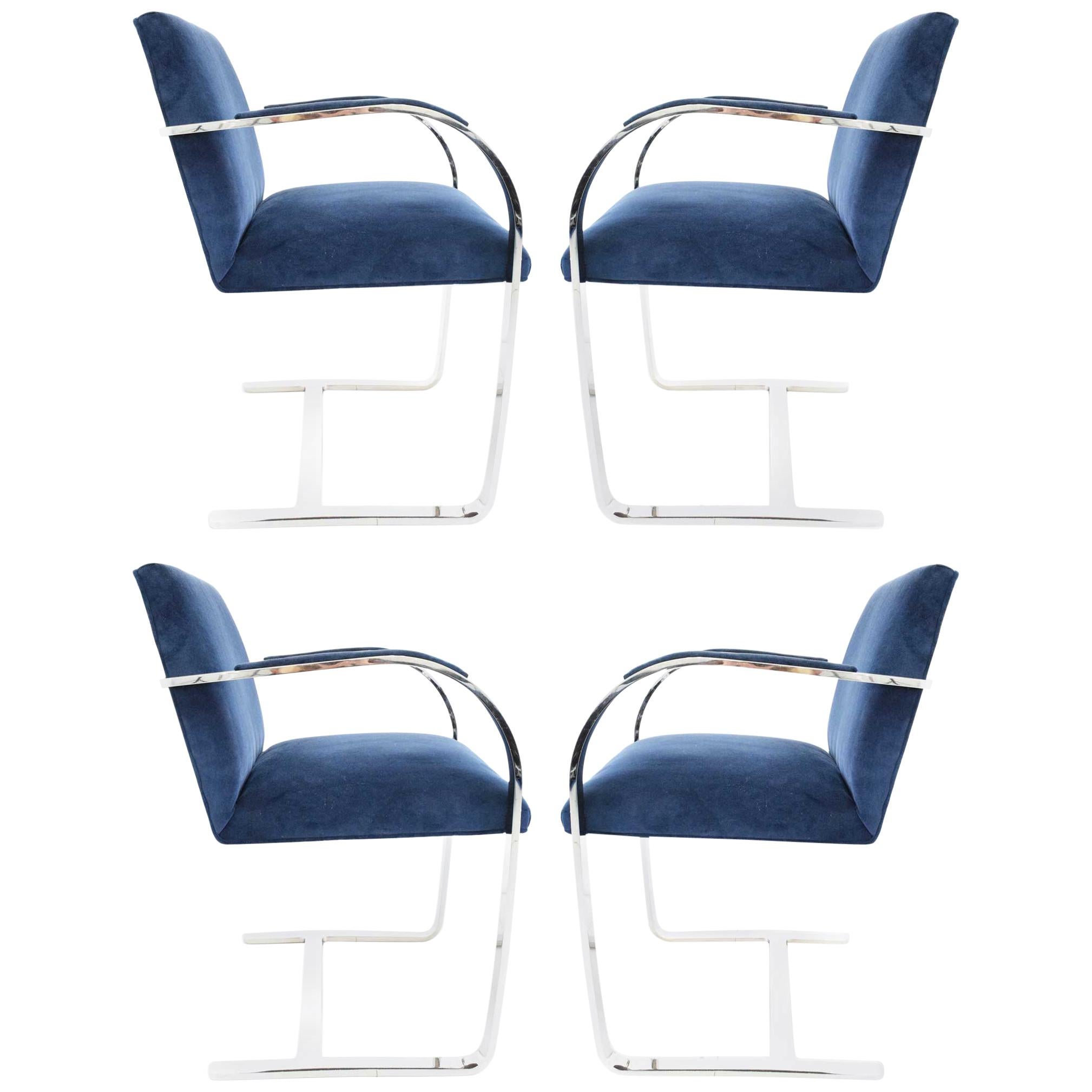Stainless Steel Flatbar Brno Chairs by Knoll in Blue Velvet