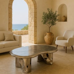 Stainless Steel Pebble Coffee Table by NITUSH AROOSH