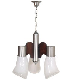 Stainless Steel Pendant Chandelier by Gaetano Sciolari for Mazzega, Murano-Glass