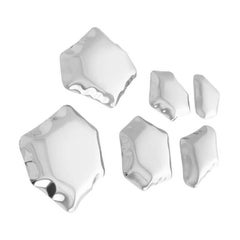 Stainless Steel Set of 6 Kamyki Wall Decor by Zieta