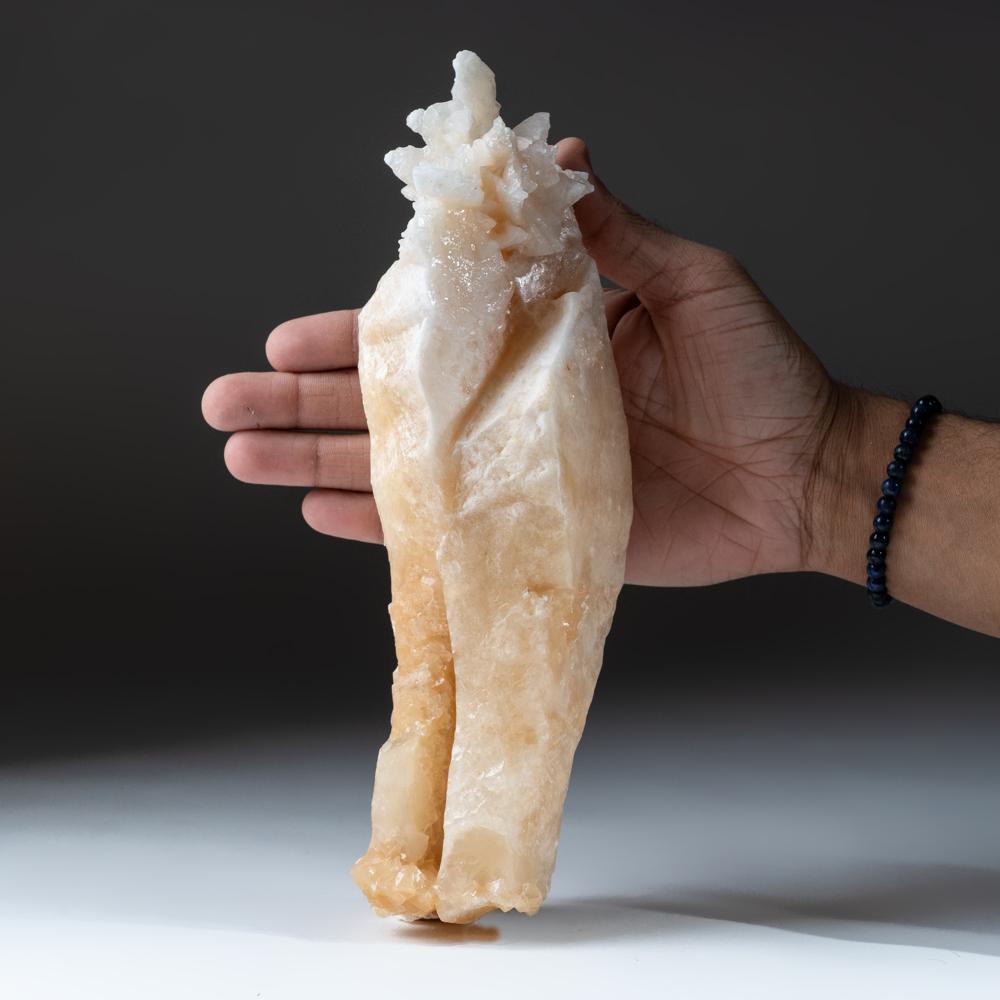 De la préfecture de Guilin, région autonome du Guangxi Zhuang, Chine Formation stalactique esthétique de cristaux de calcite scalénoédrique translucide de couleur orange-tannique. La calcite présente un éclat humide et une surface nette et bien