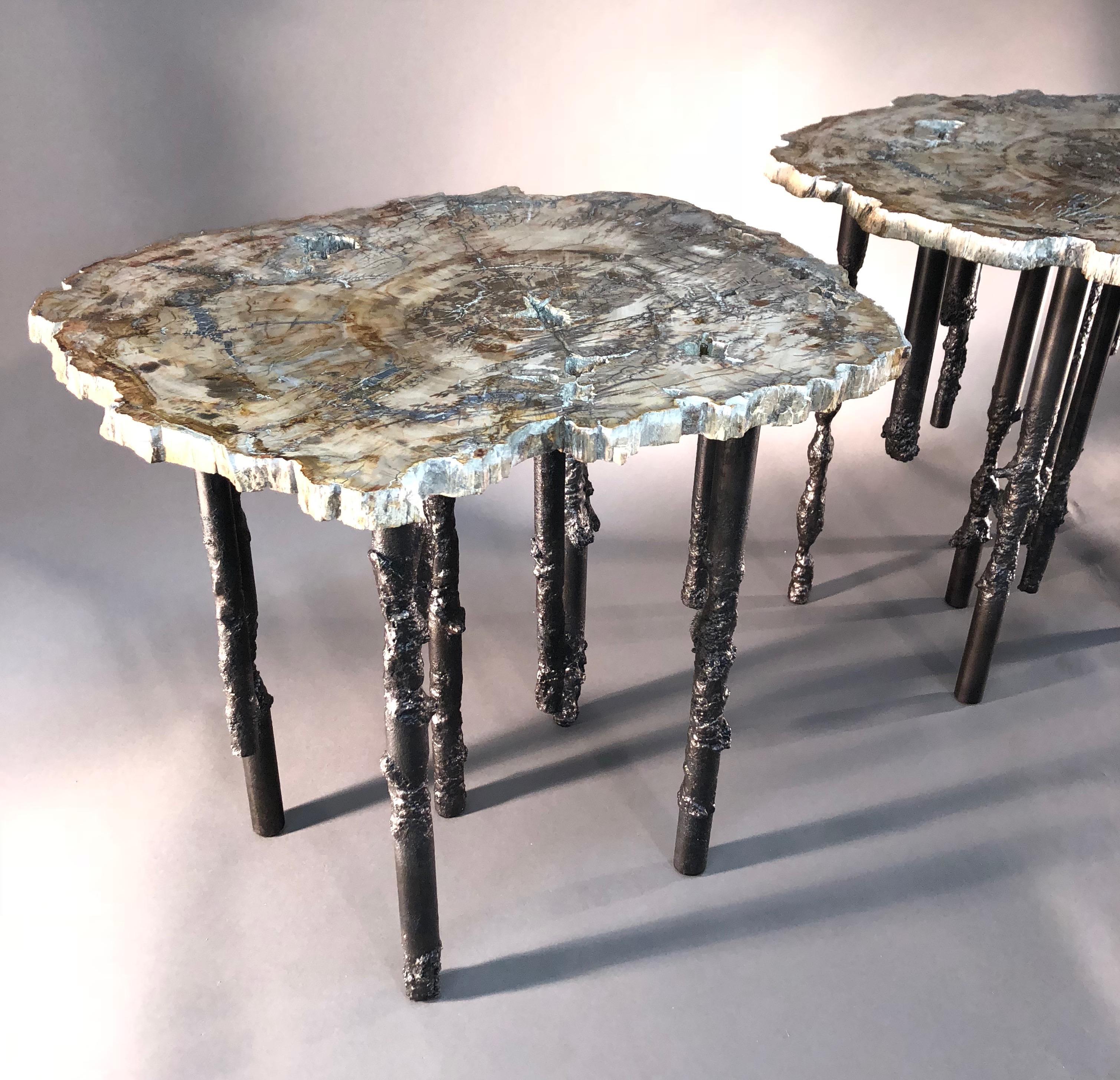Madagascar Petrified wood top and iron base
Accent tables 
Unique
Measures: 18