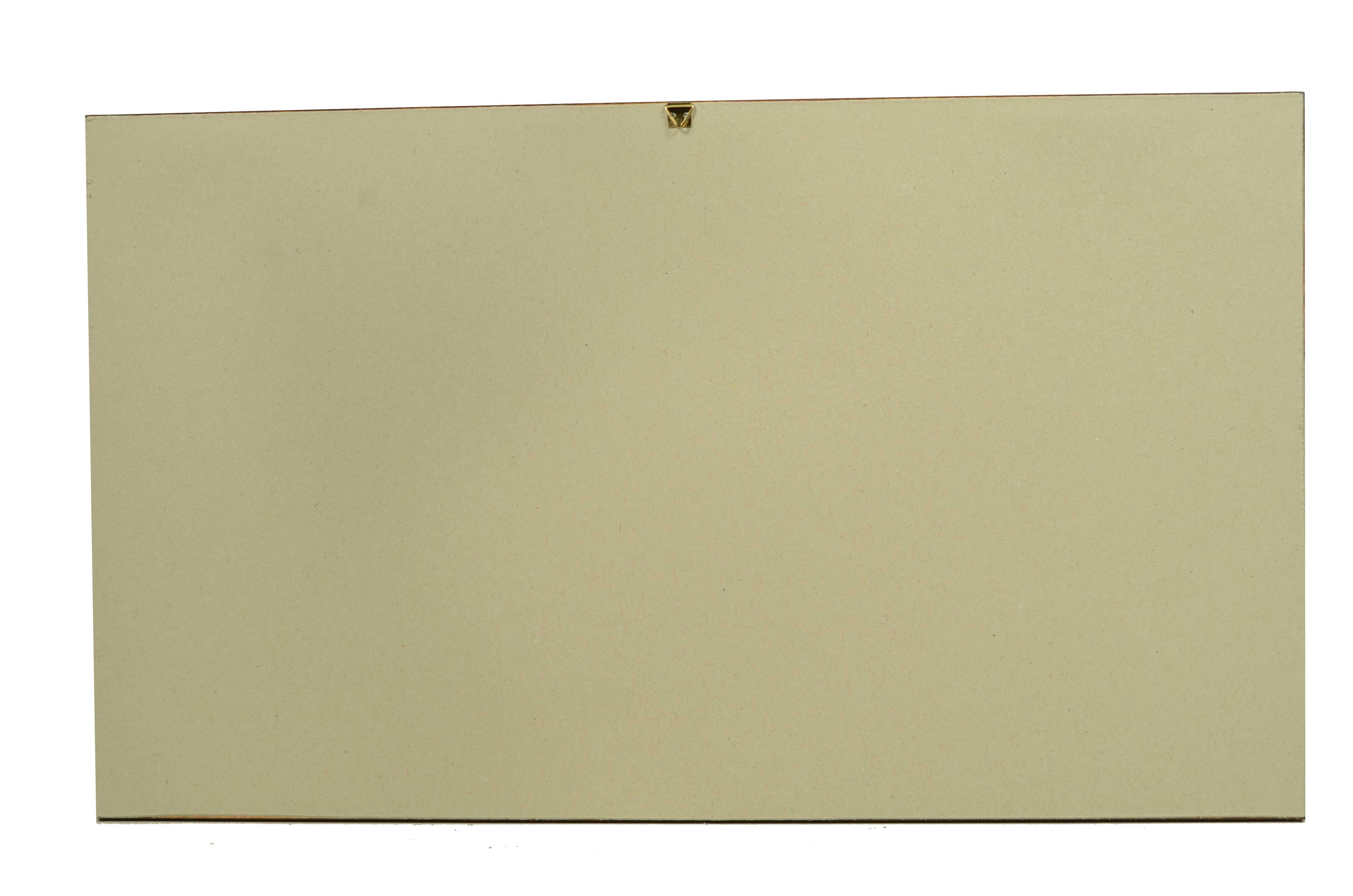 Stampa a colori anni cinquanta di un caccia biplano Ni 17 Macchi Nieuport Varese in vendita 7