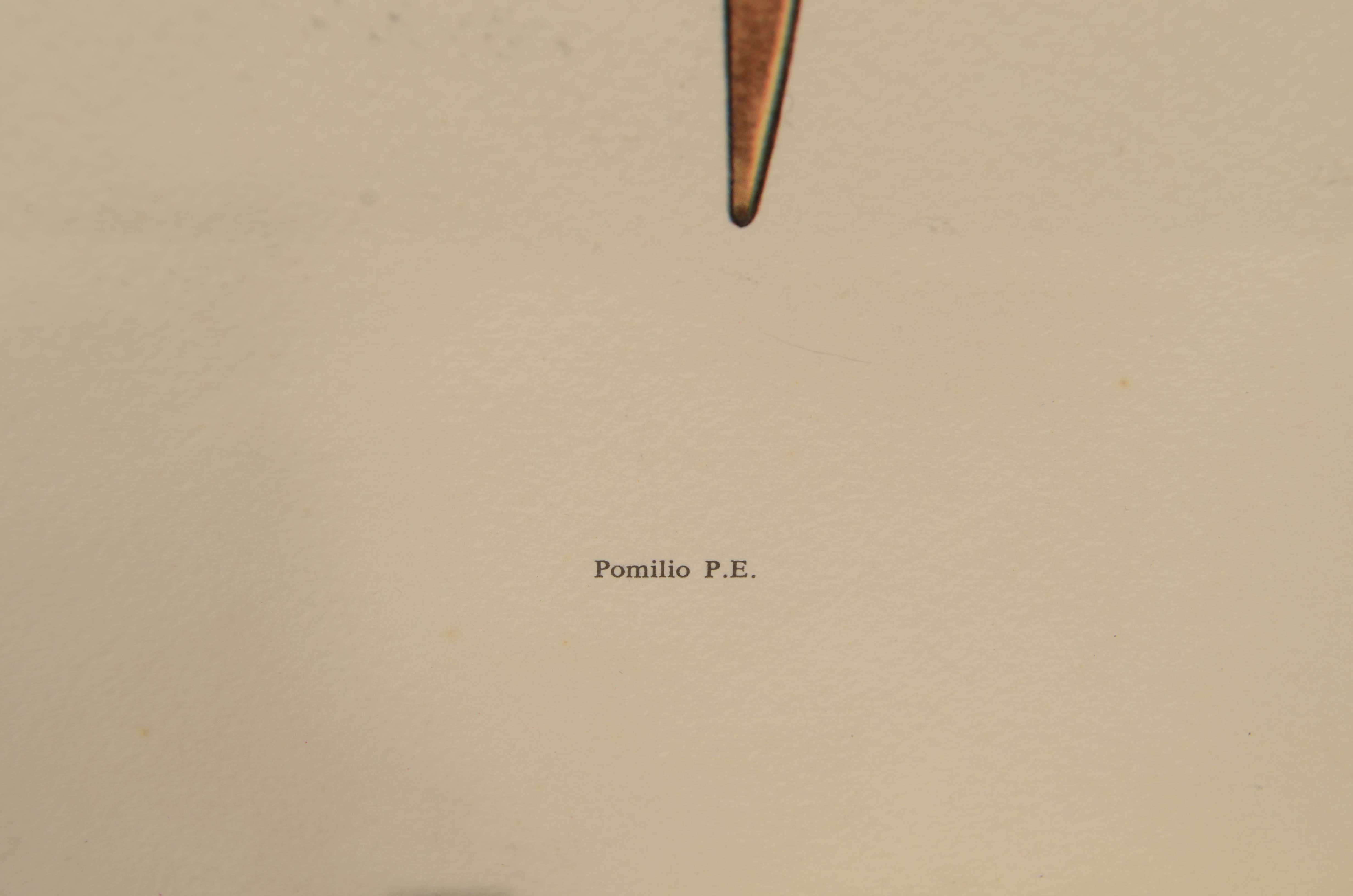 Papier Impression en couleur des années 1950 représentant le biplan Pomilio P.E. de 1917 en vente