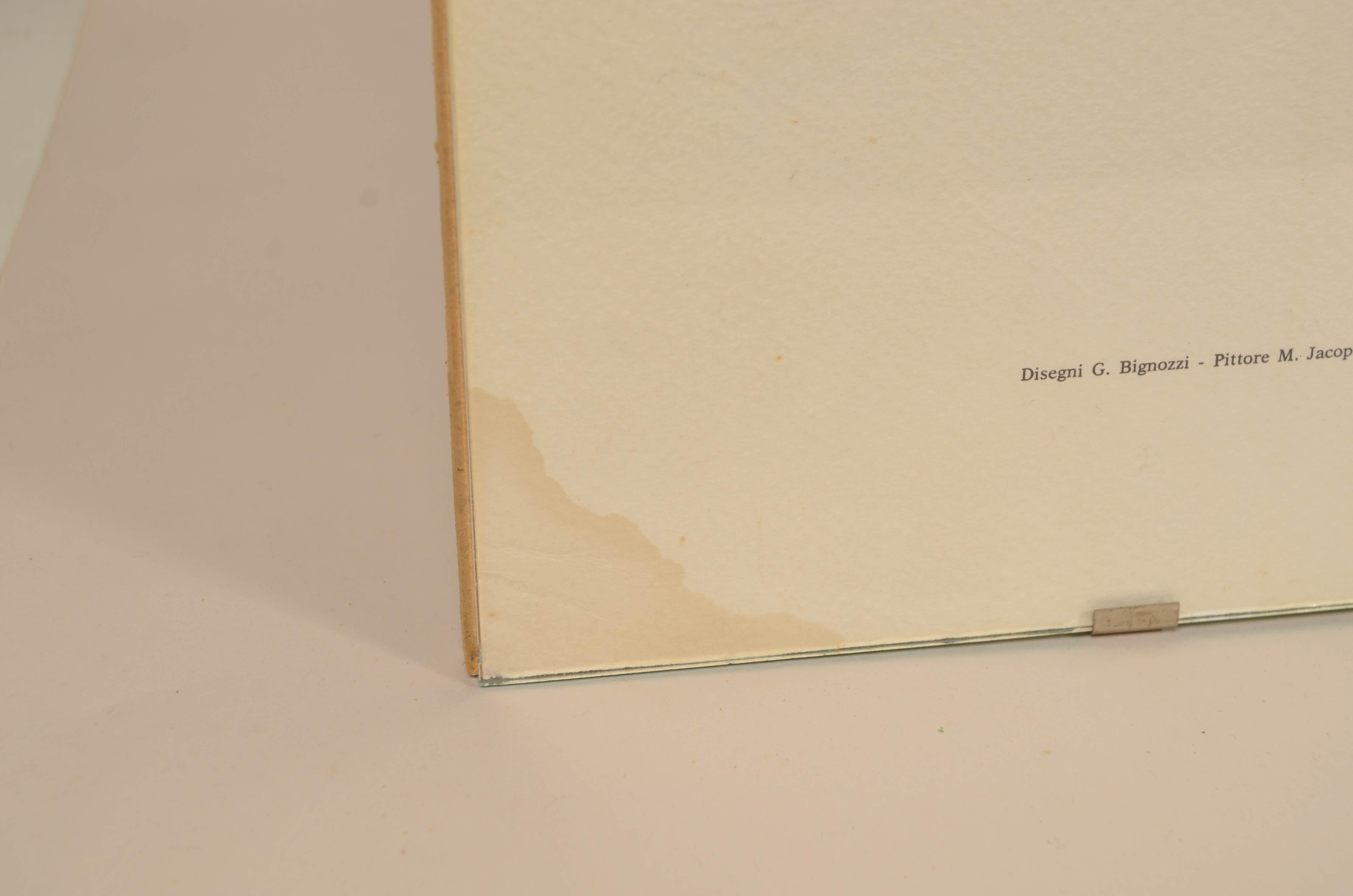 Impression en couleur des années 1950 représentant le biplan Pomilio P.E. de 1917 en vente 2