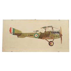 Stampa a colori anni cinquanta raffigurante il Pomilio P.E. biplano del 1917
