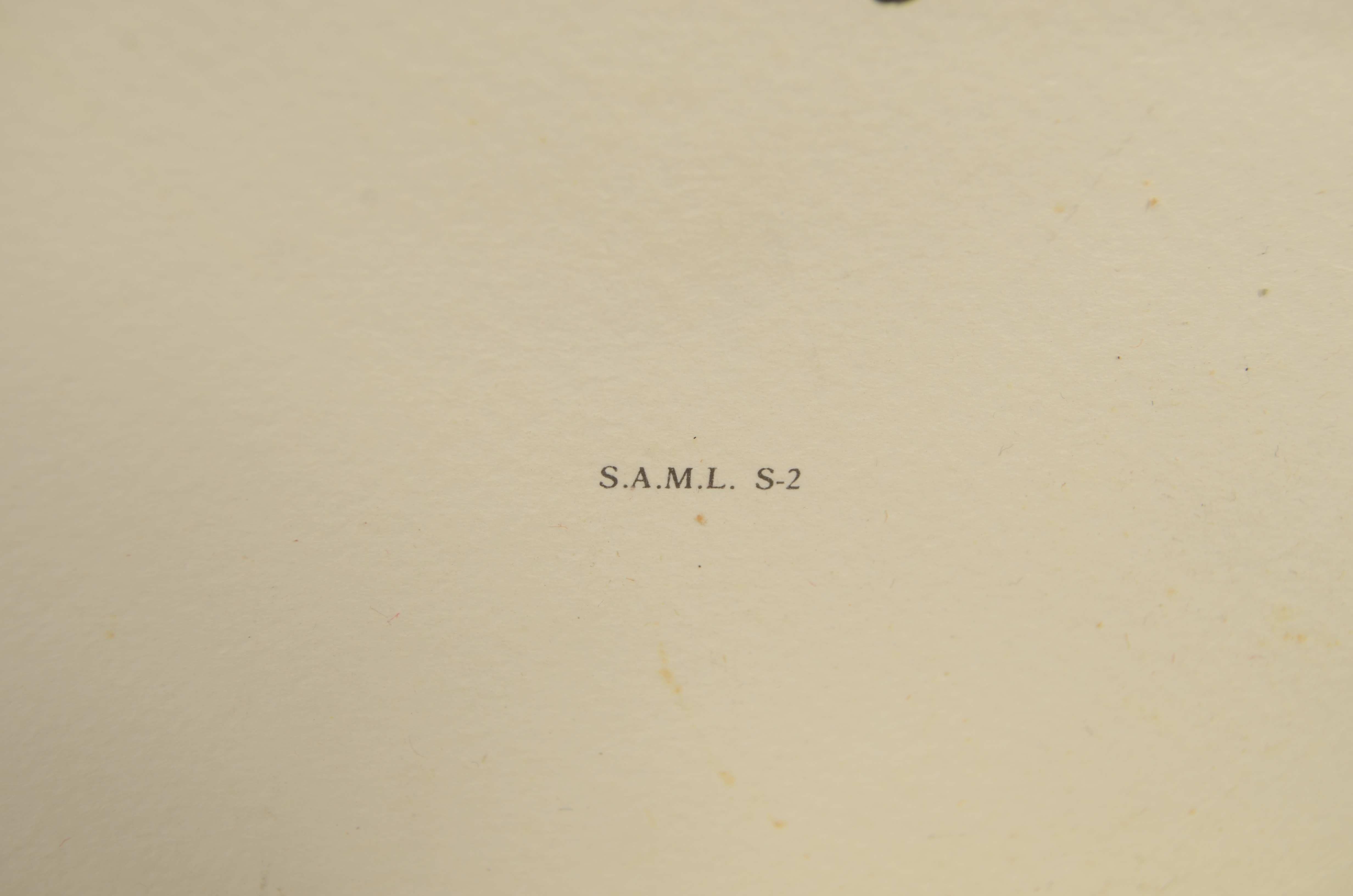 Impression couleur des années 1950 représentant le biplan monomoteur SAML S 2 1917 en vente 2