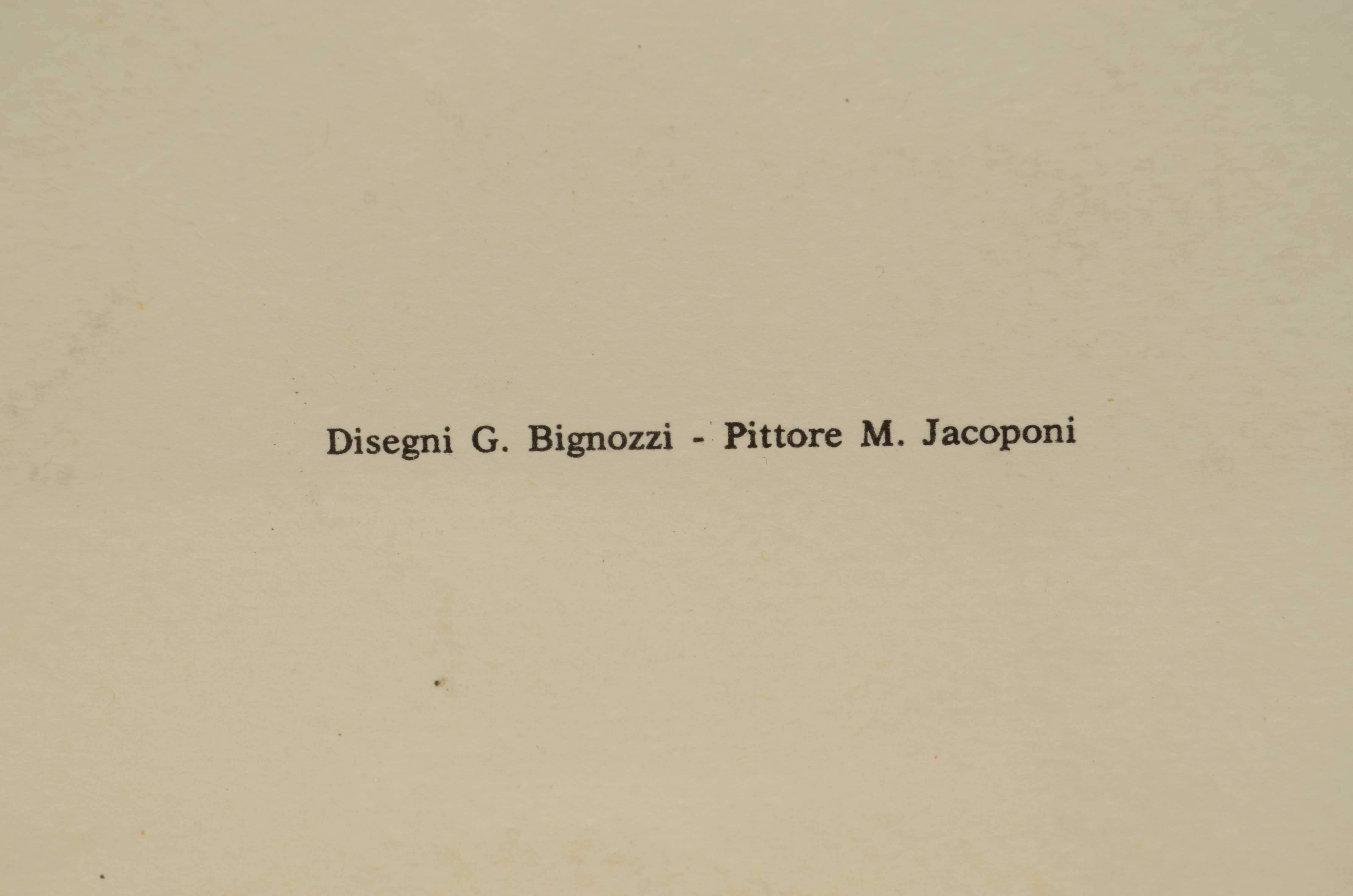 20th Century Tirage couleur des années 1950 représentant le monoplan Gabardini 1912 en vente