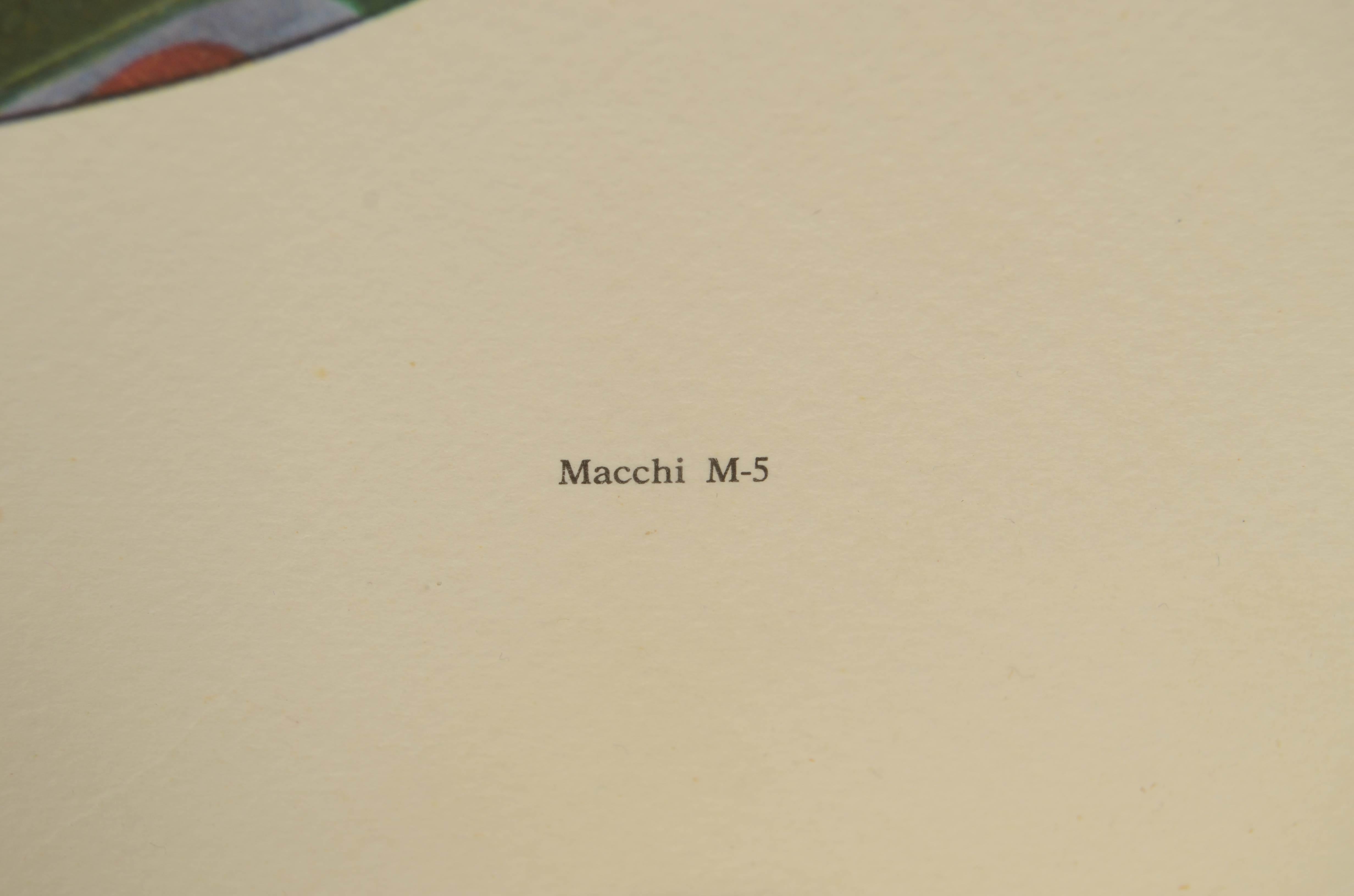Papier Impression en couleur des années 1950 représentant un hydro-croiseur Macchi M5 1917 en vente