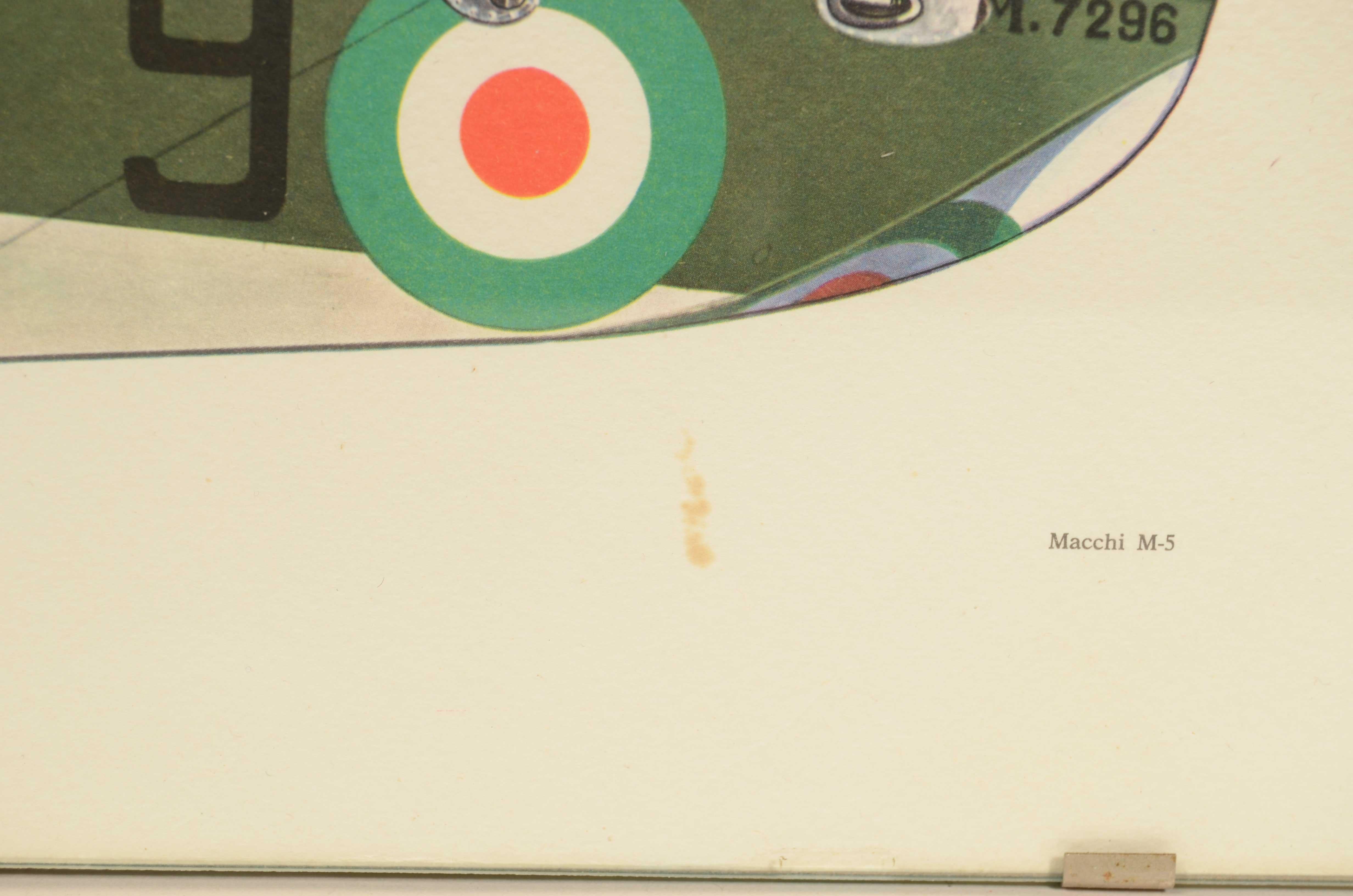 Impression en couleur des années 1950 représentant un hydro-croiseur Macchi M5 1917 en vente 3