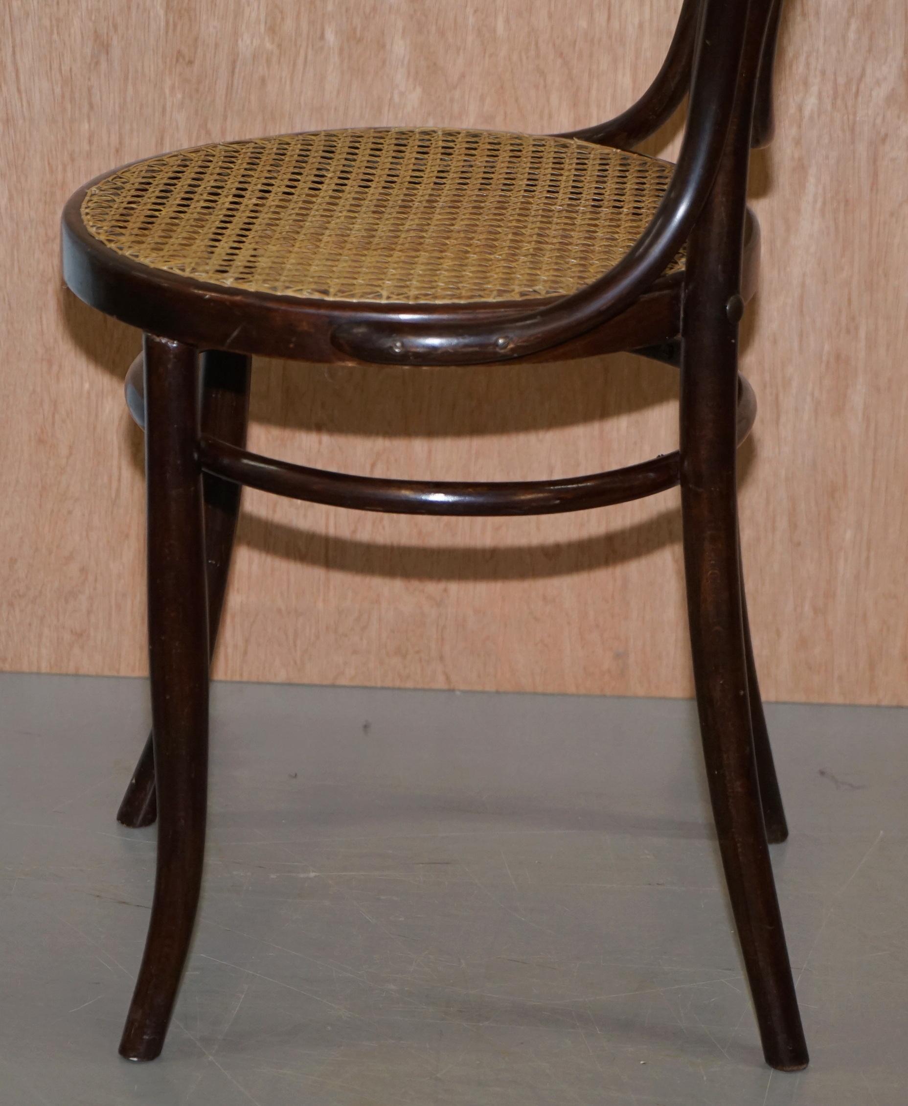 Stamped circa 1890 J&J Jacob & Josef Kohn Bentwood Bergere Armchair Part Suite For Sale 2