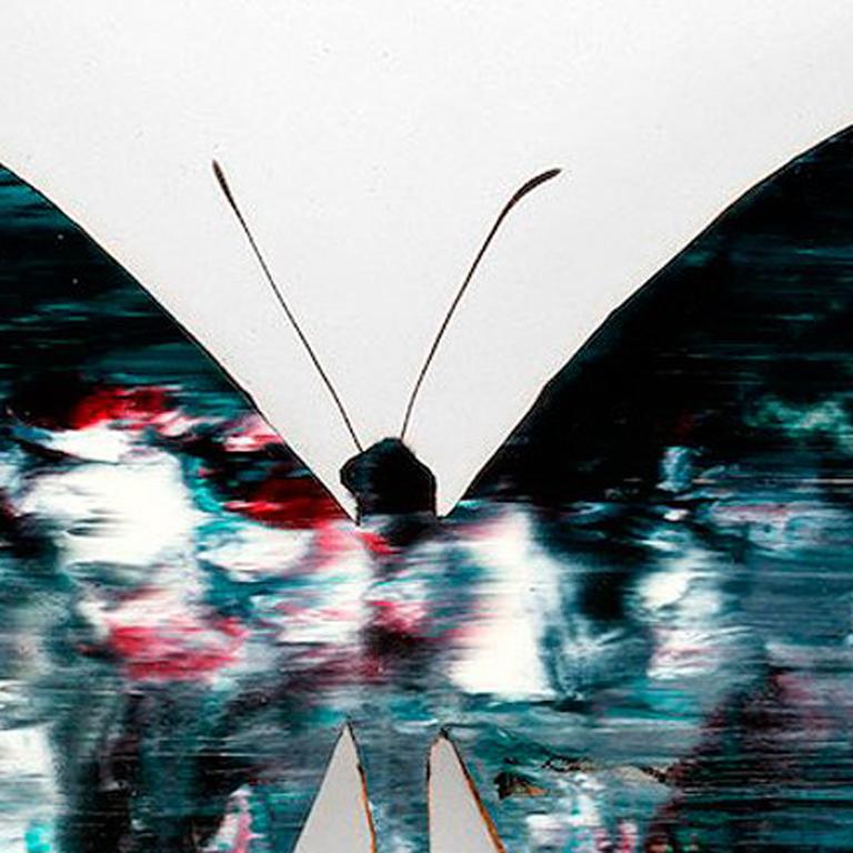 Mariposa 1 en venta 1