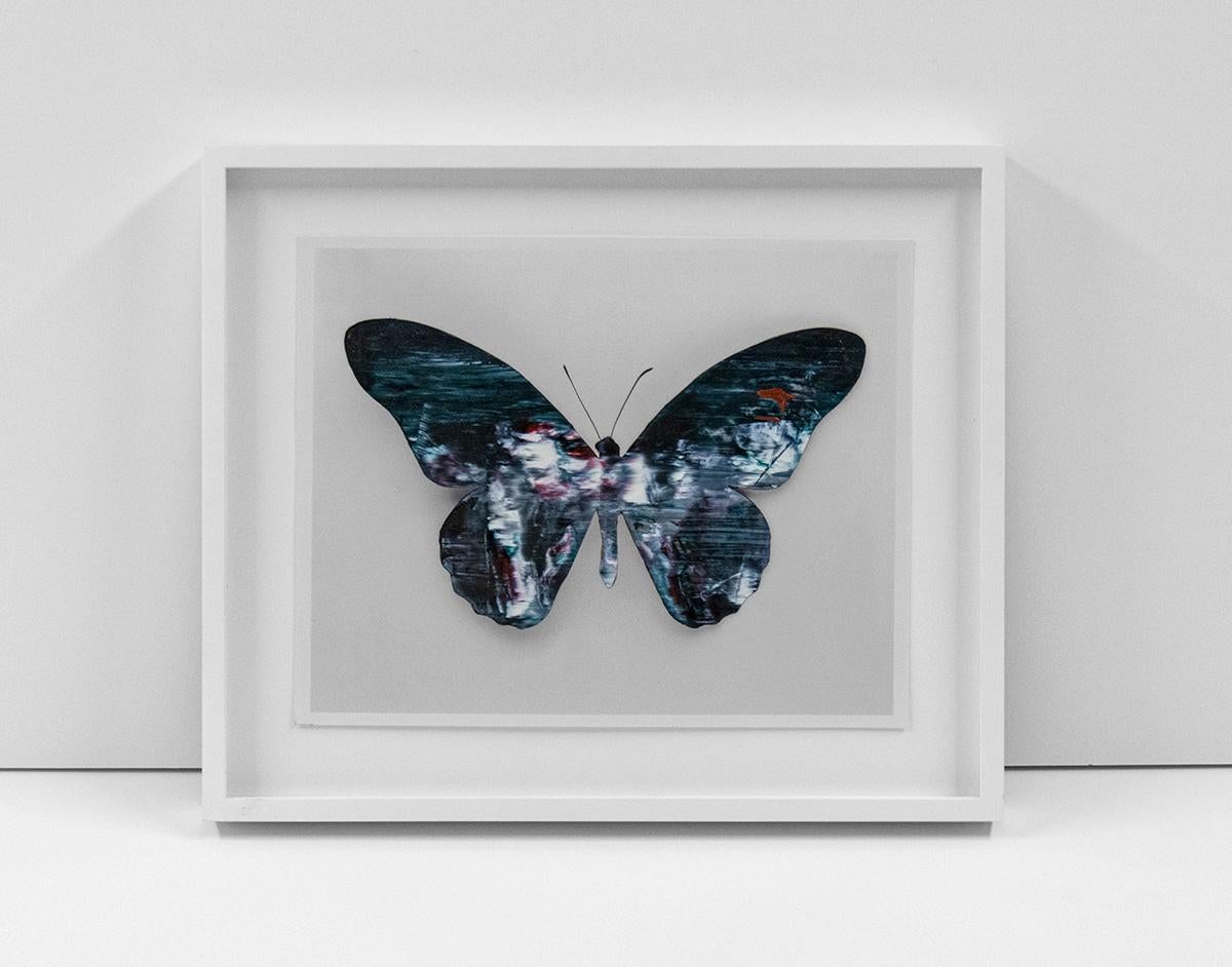 Mariposa 1 - Mixed Media Art Contemporáneo de Stan Gaz