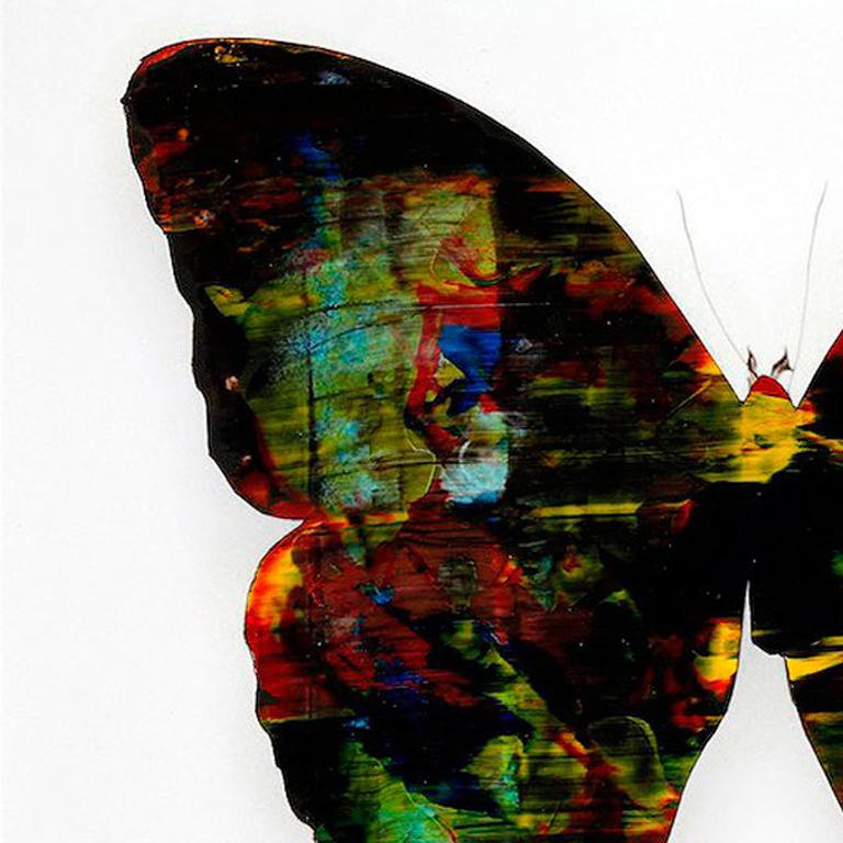 Mariposa 4 en venta 1