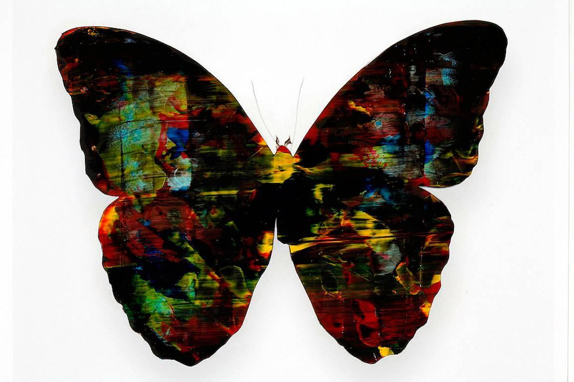 Butterfly 4 - Mixed Media Art by Stan Gaz