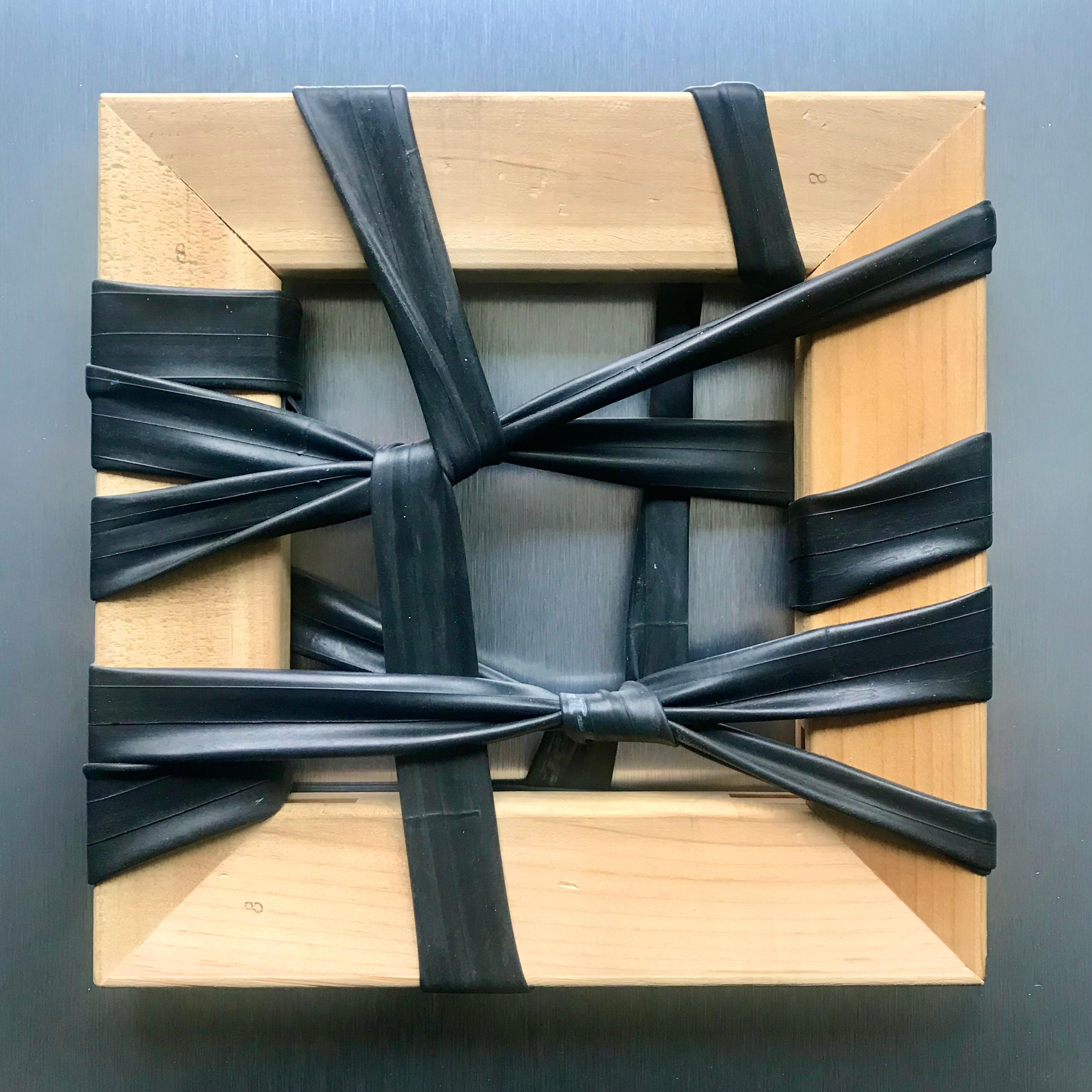 Stan Olthuis Abstract Painting - "Clue #3", abstract sculpture, wood, paint, rubber tubes, found objects