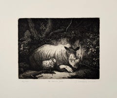 The Obscure Fable, by Stan Washburn